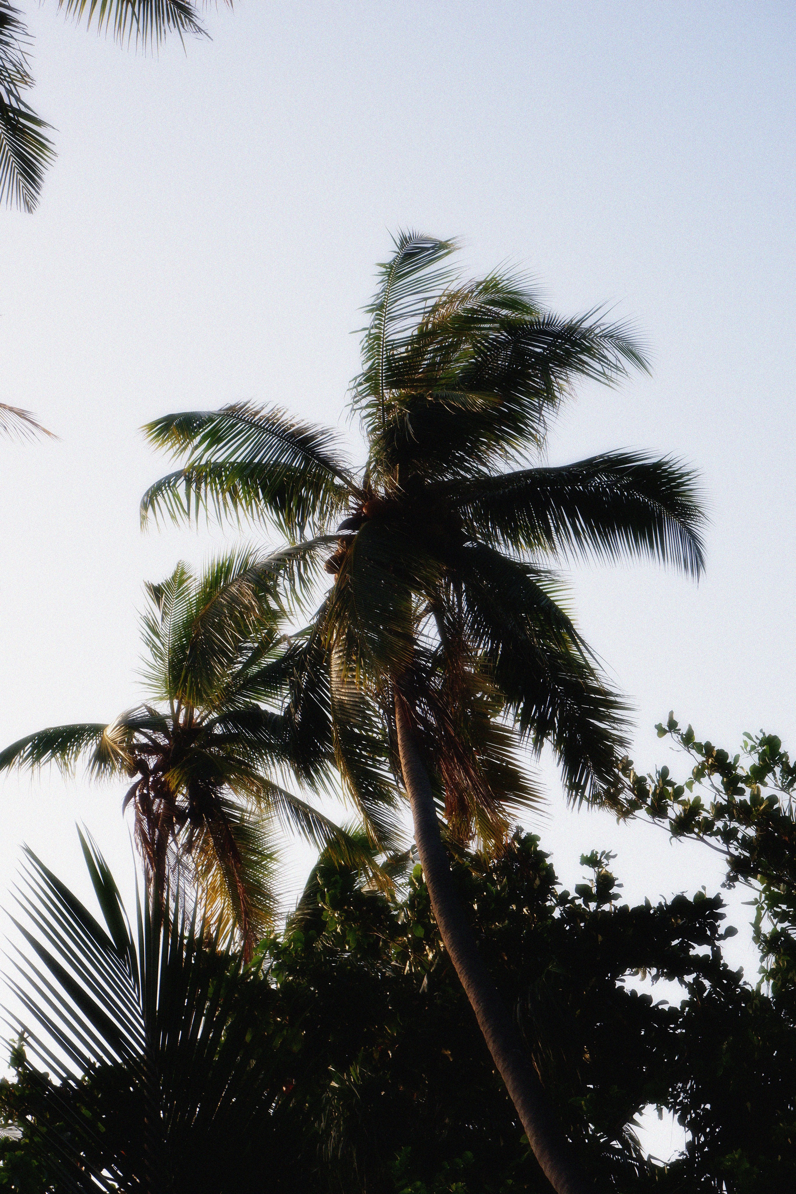 MALDIVES&BAHRAIN. ANNA — PHOTOGRAPHER