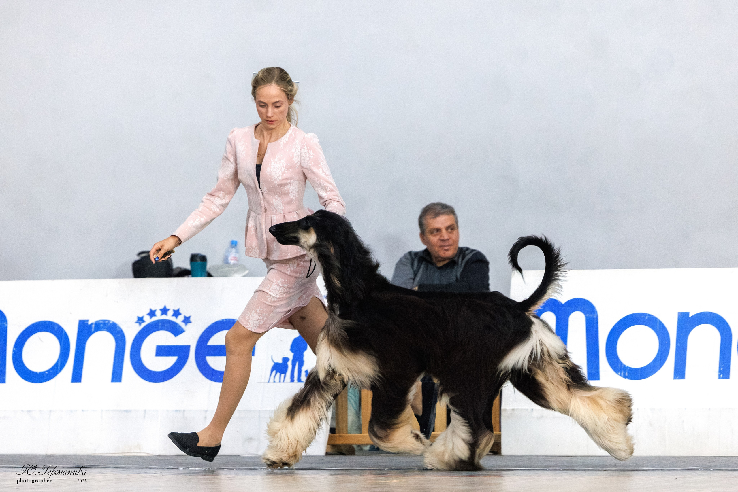 Ереван 2х CACIB 29-30.04.2025. Фотограф-анималист Юлия Германика