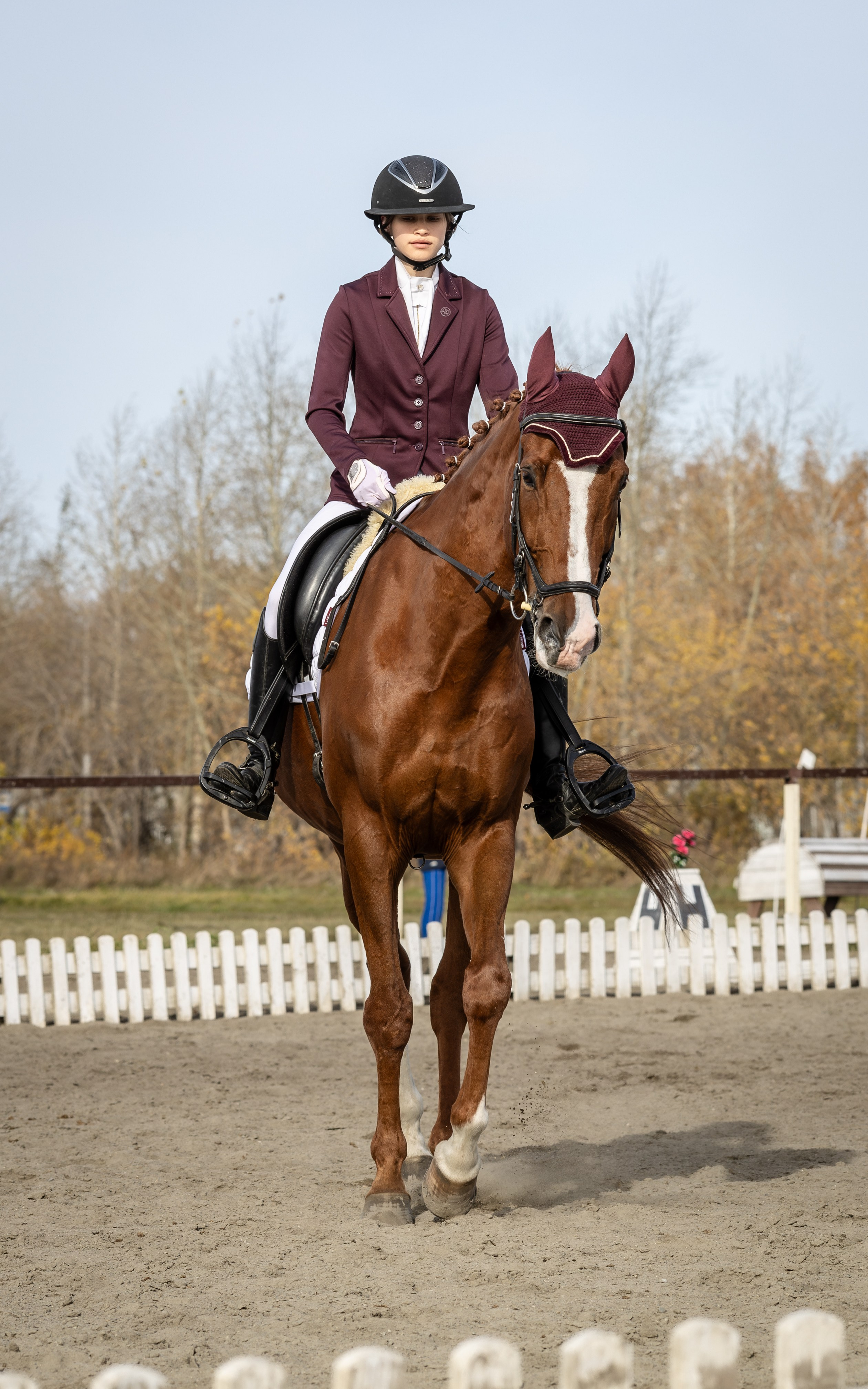 Конкур. Bertran Ordo