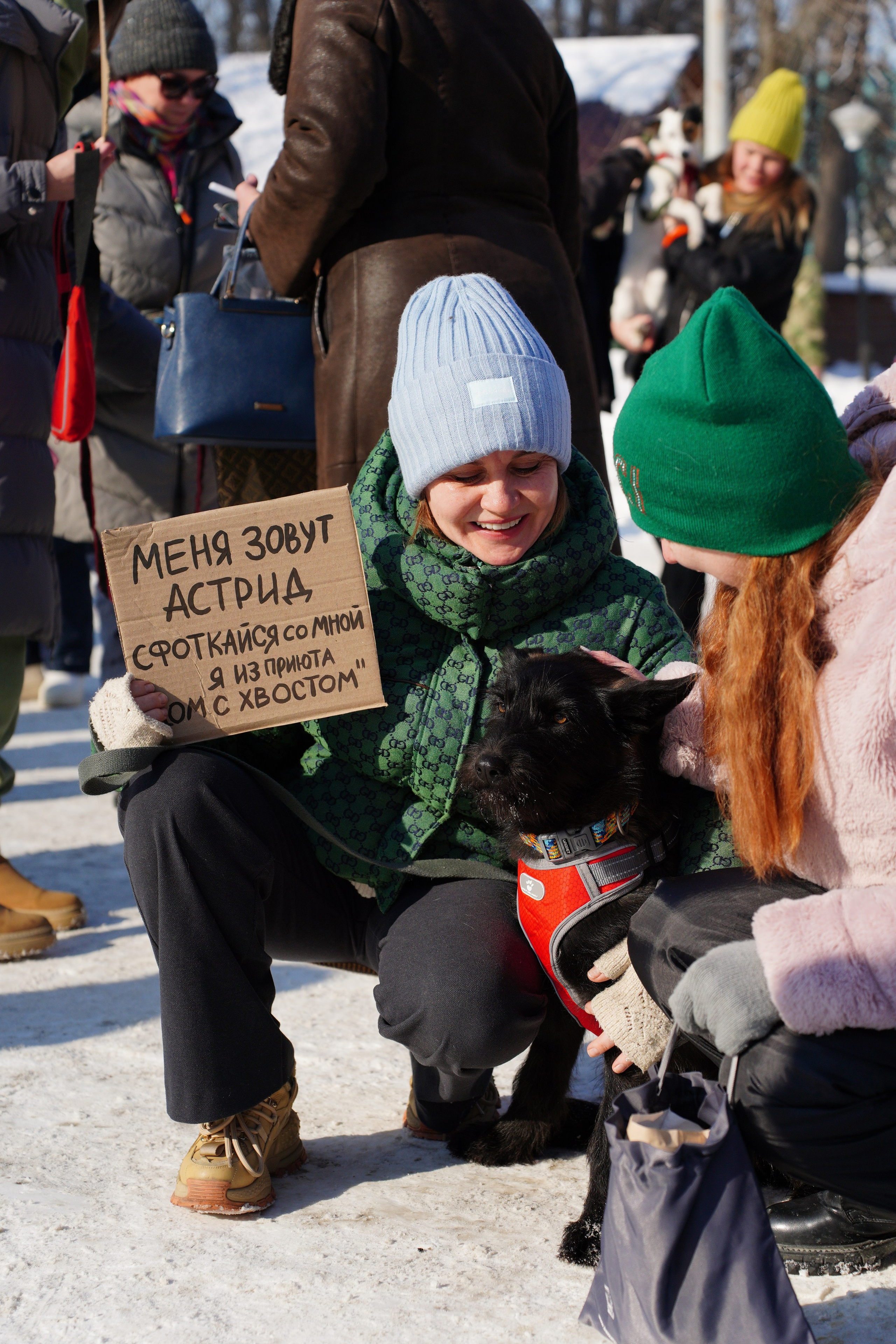 Благотворительная Акция «Ищу Человека». Pupov.png