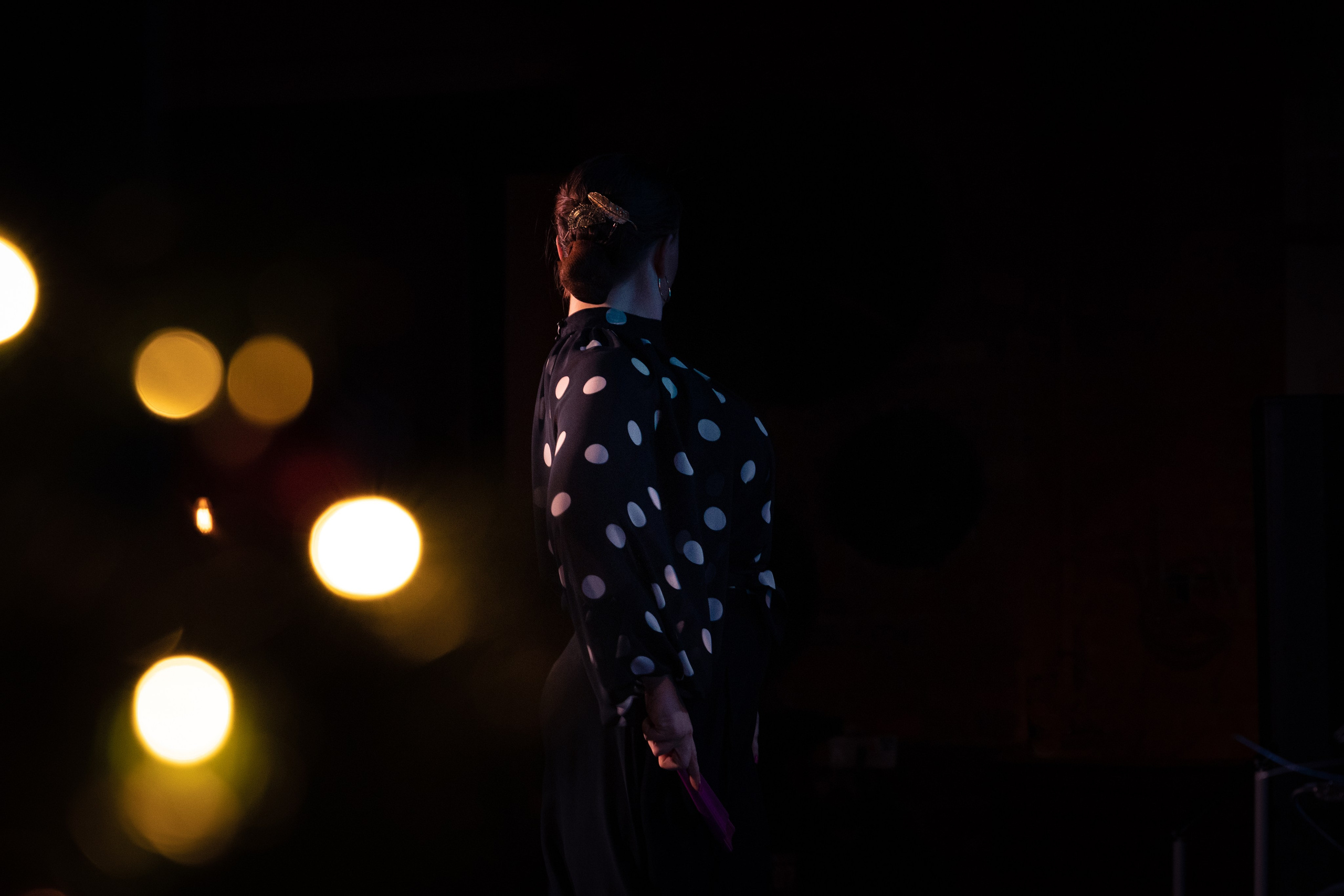 Flamenco 02.01.2025. Индивидуальные съемки, портретный фотограф