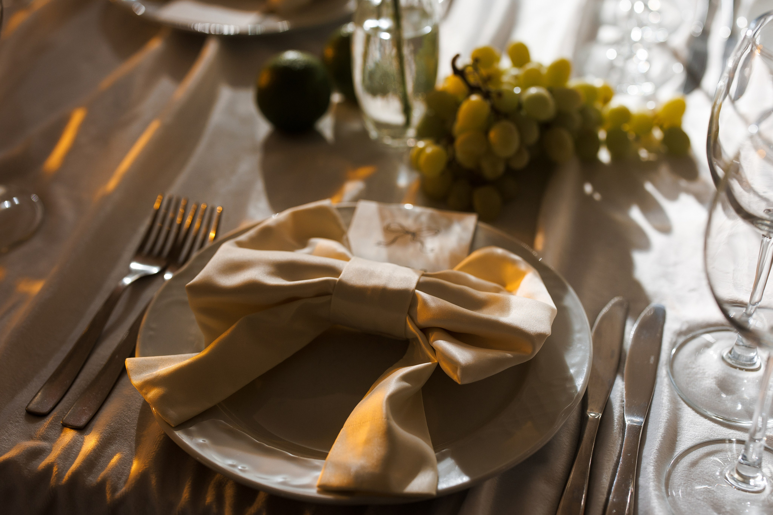 Кирилл & Анастасия. Организатор- Елена Гаманович. Главная