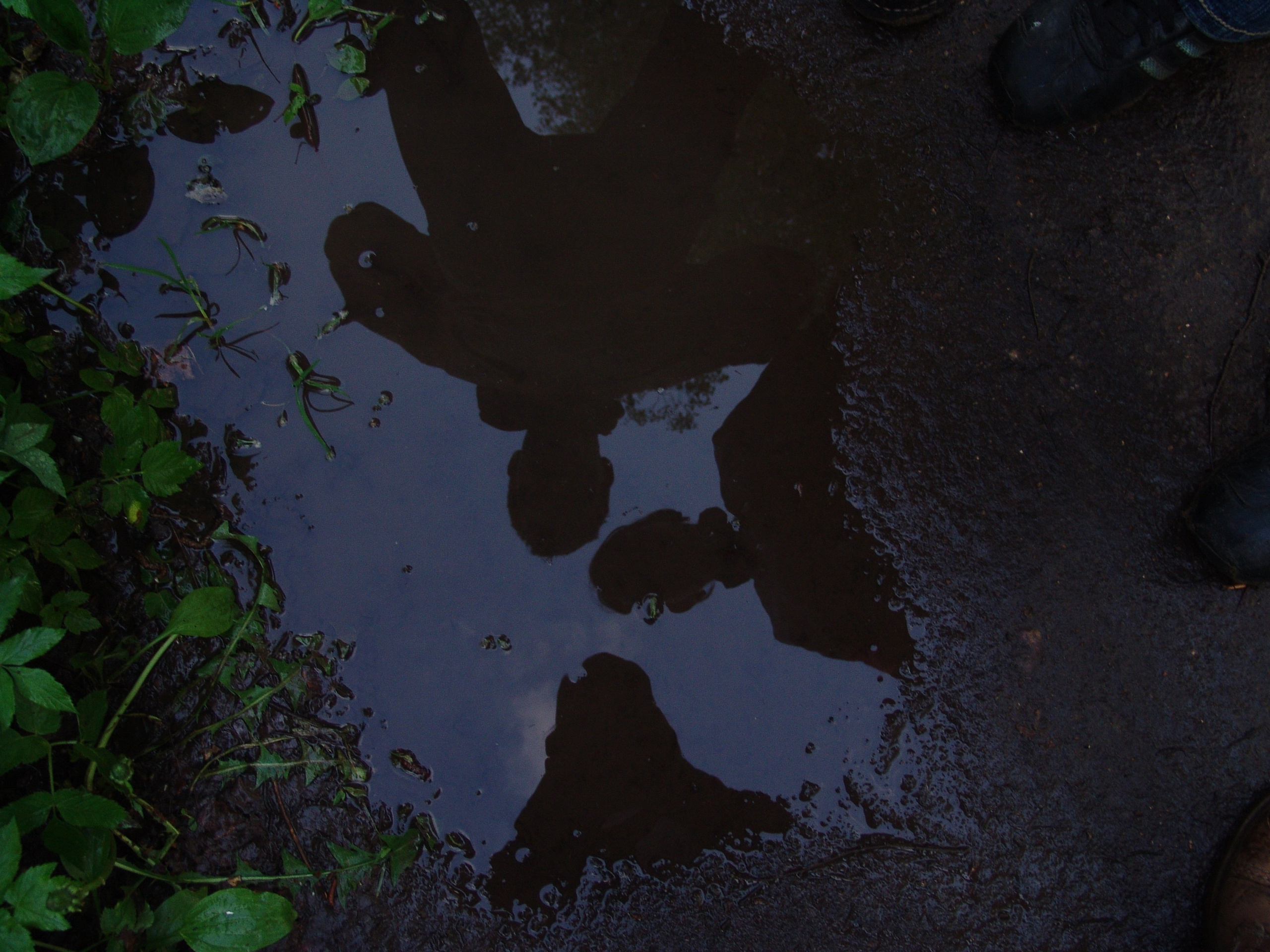 Приезд КС 2005. Заставка