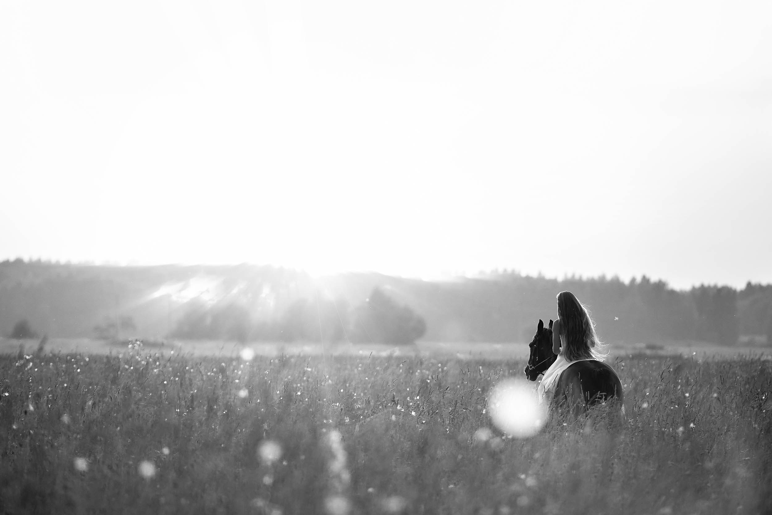 Фотопроекты и съемки на природе, с лошадьми, самолетами и авто. Выездная фотосессия. Фотограф, фотопроекты Михаила Семенова в Ярославле. Фотошкола