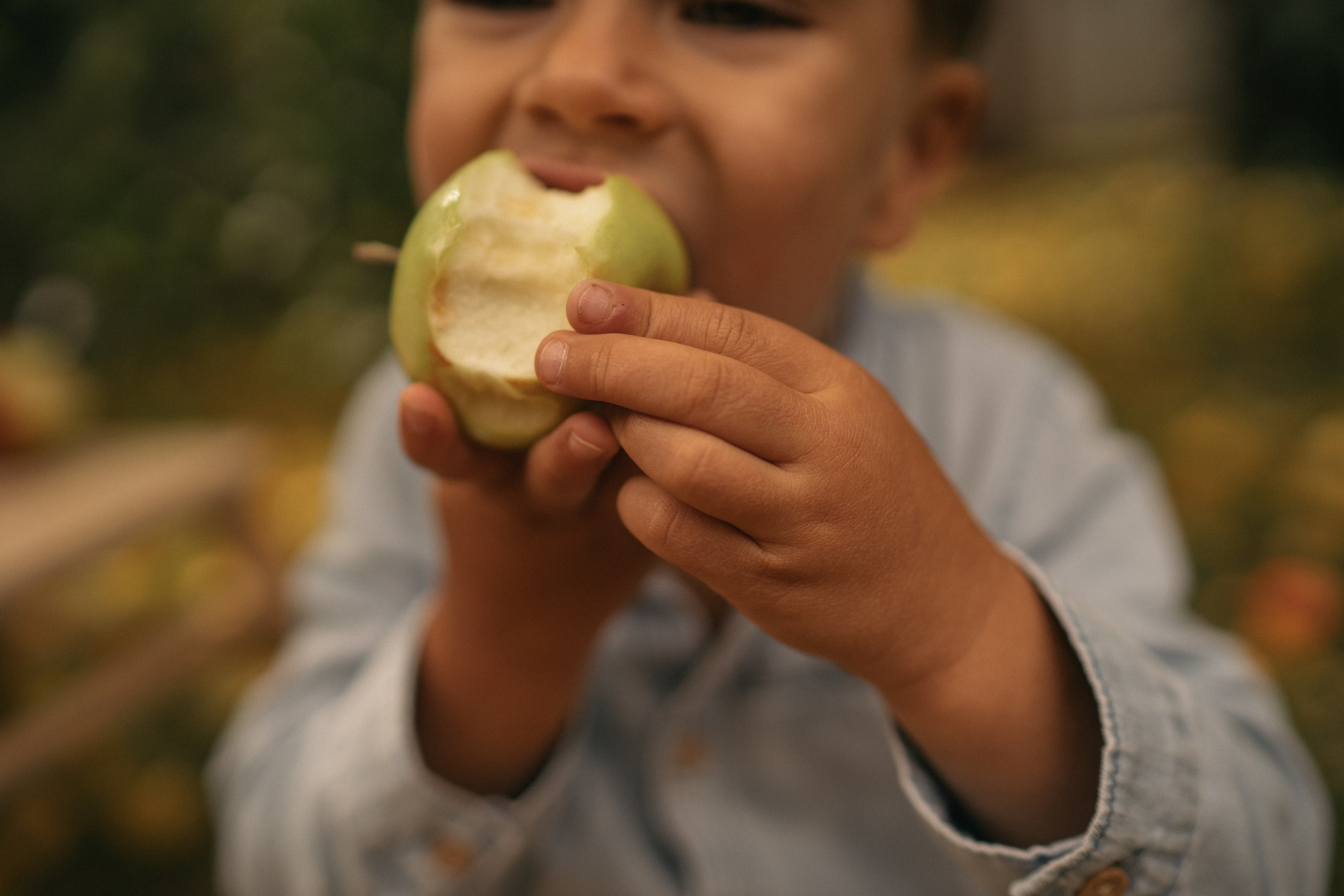 Яблочный Спас. Семейный и детский фотограф Москва Дарья Бугра