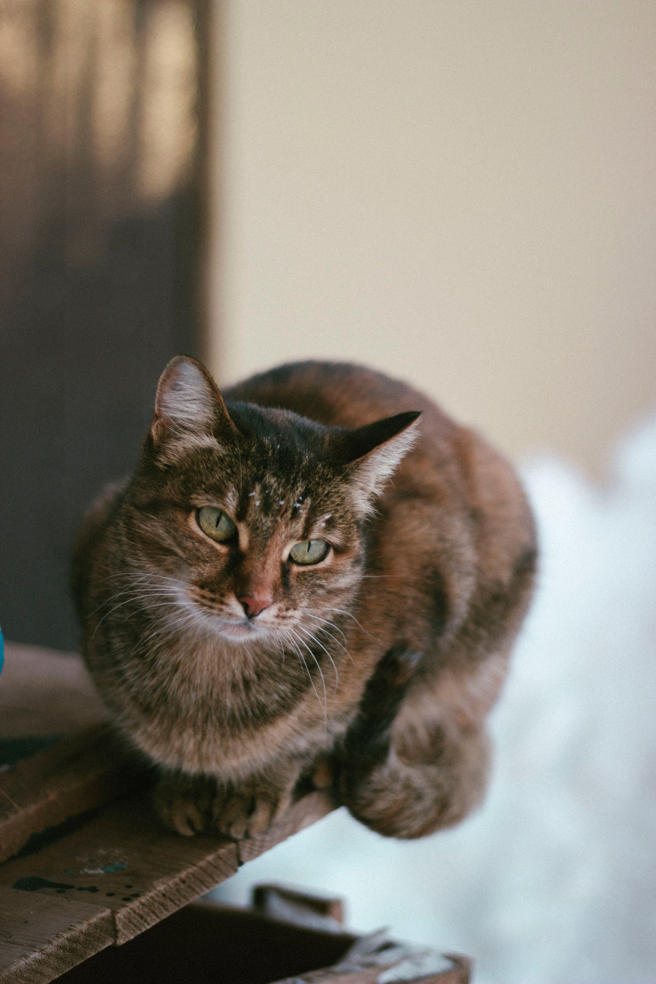 Milen. Фотограф Димитровград Казань Валерия Владимиркина