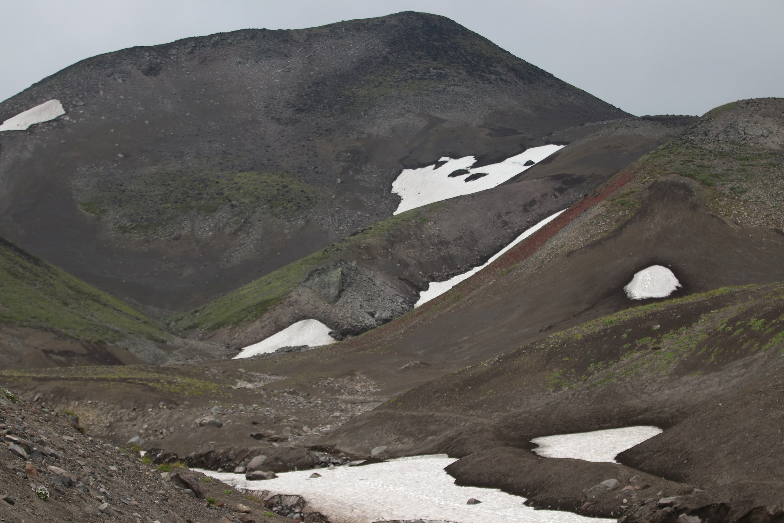 Камчатка и о. Парамушир. Июль 2024. Путешественник-фотограф из Санкт-Петербурга Татьяна Свистулина