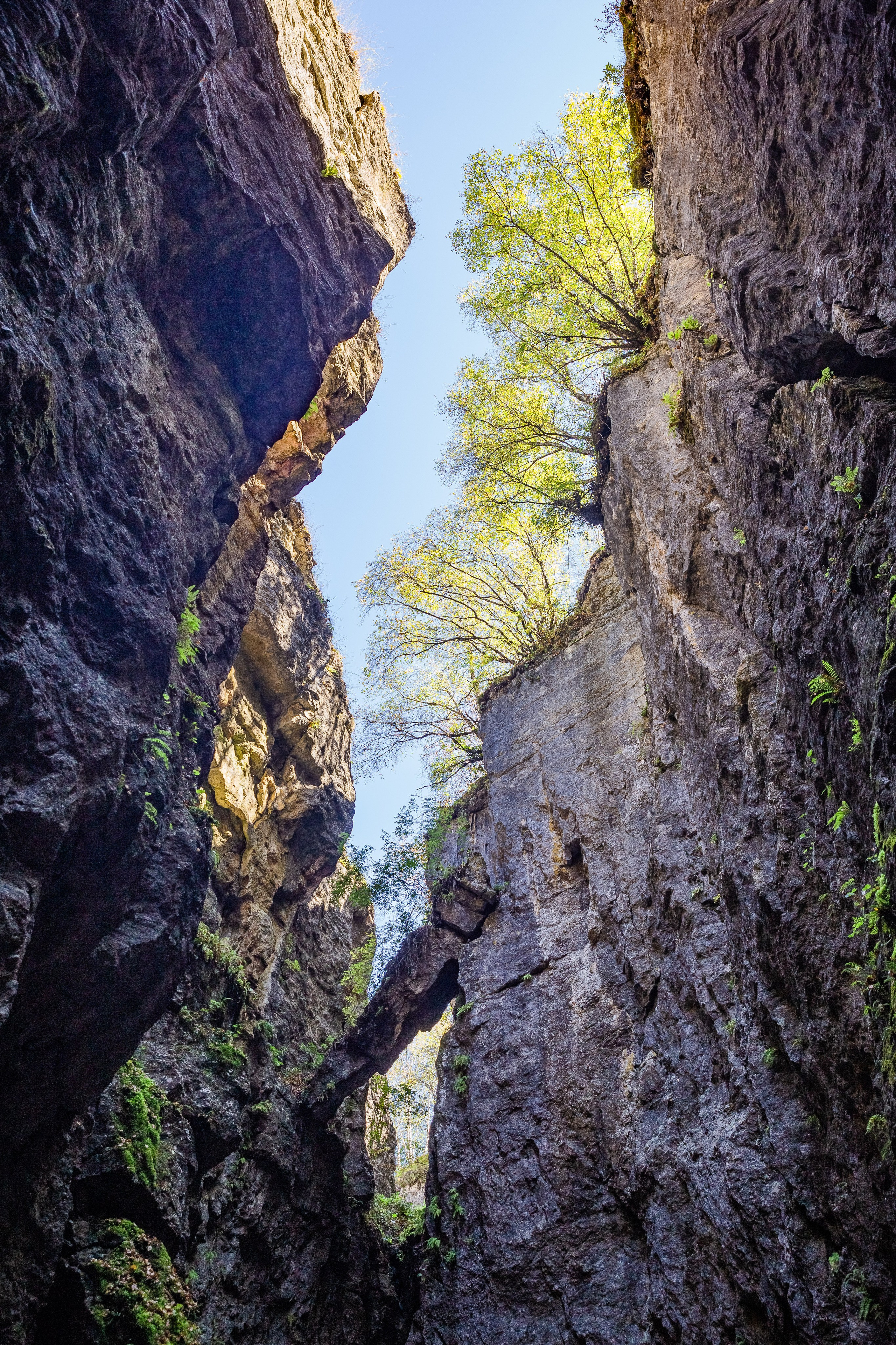 Пейзаж. OneSnap