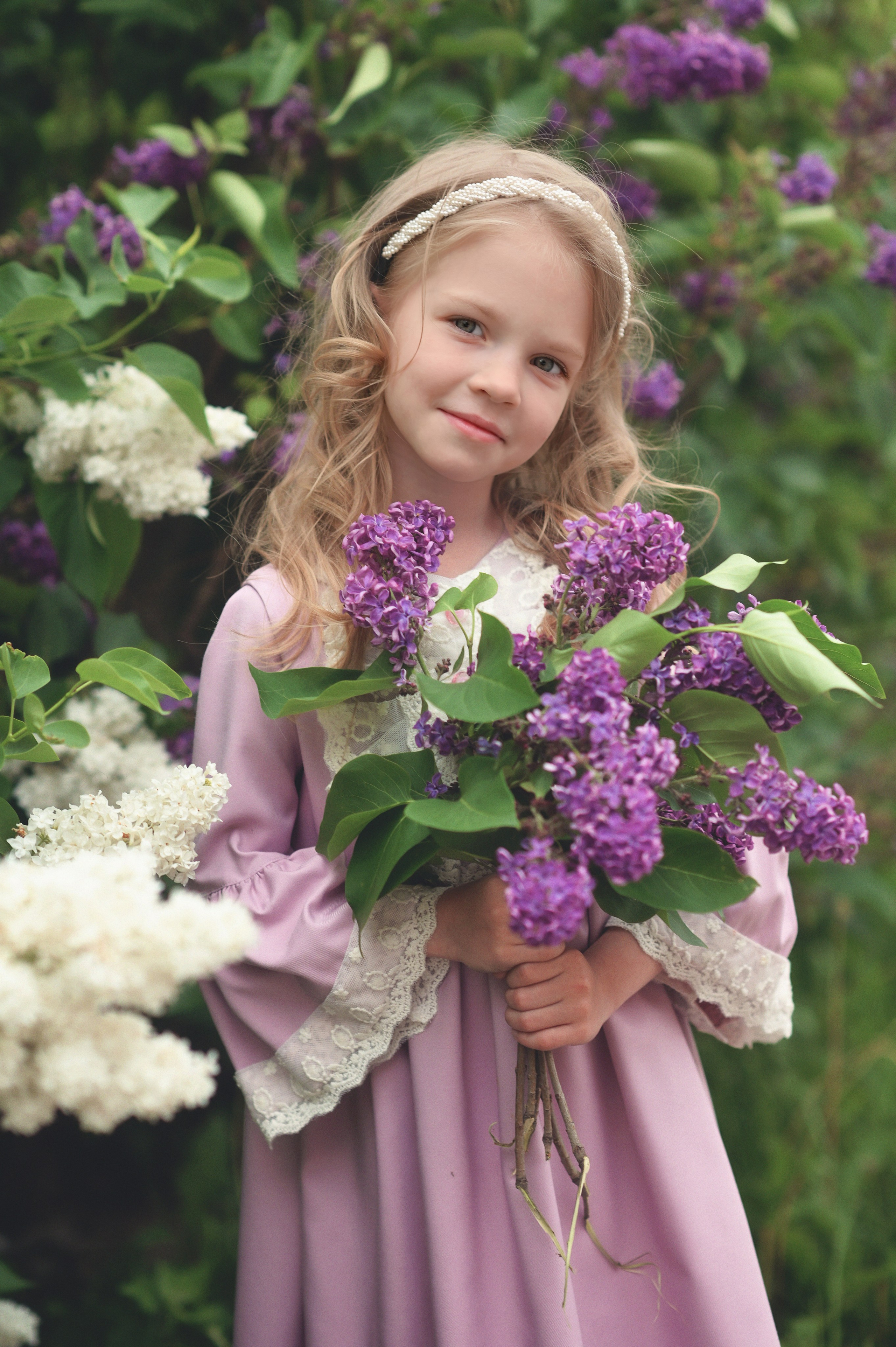 Сирень. Фотограф Альбина Вакунова