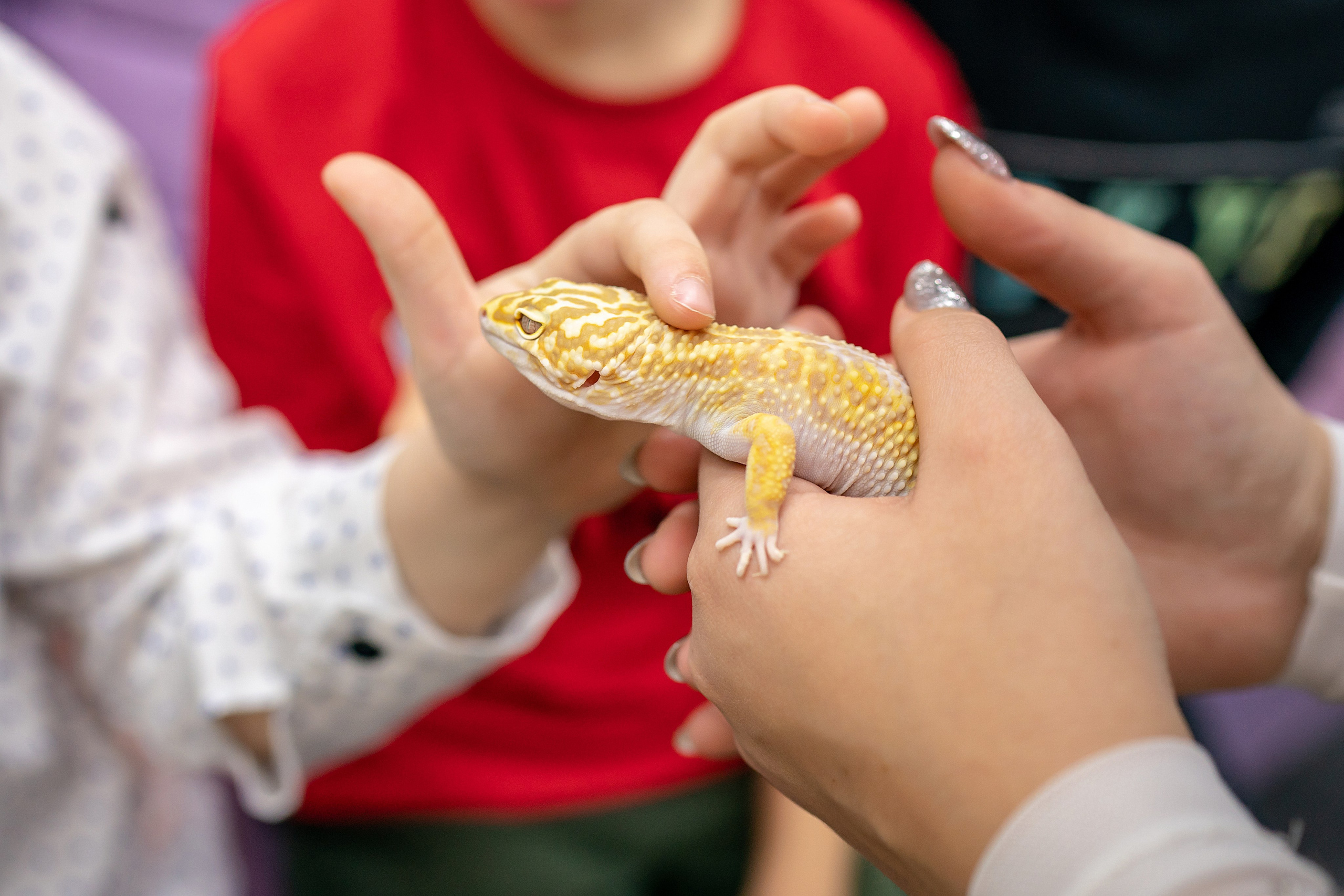 Варваре 1 годик!. Фотограф на Крещение и Венчание в Красноярске Рамазанова Юлия