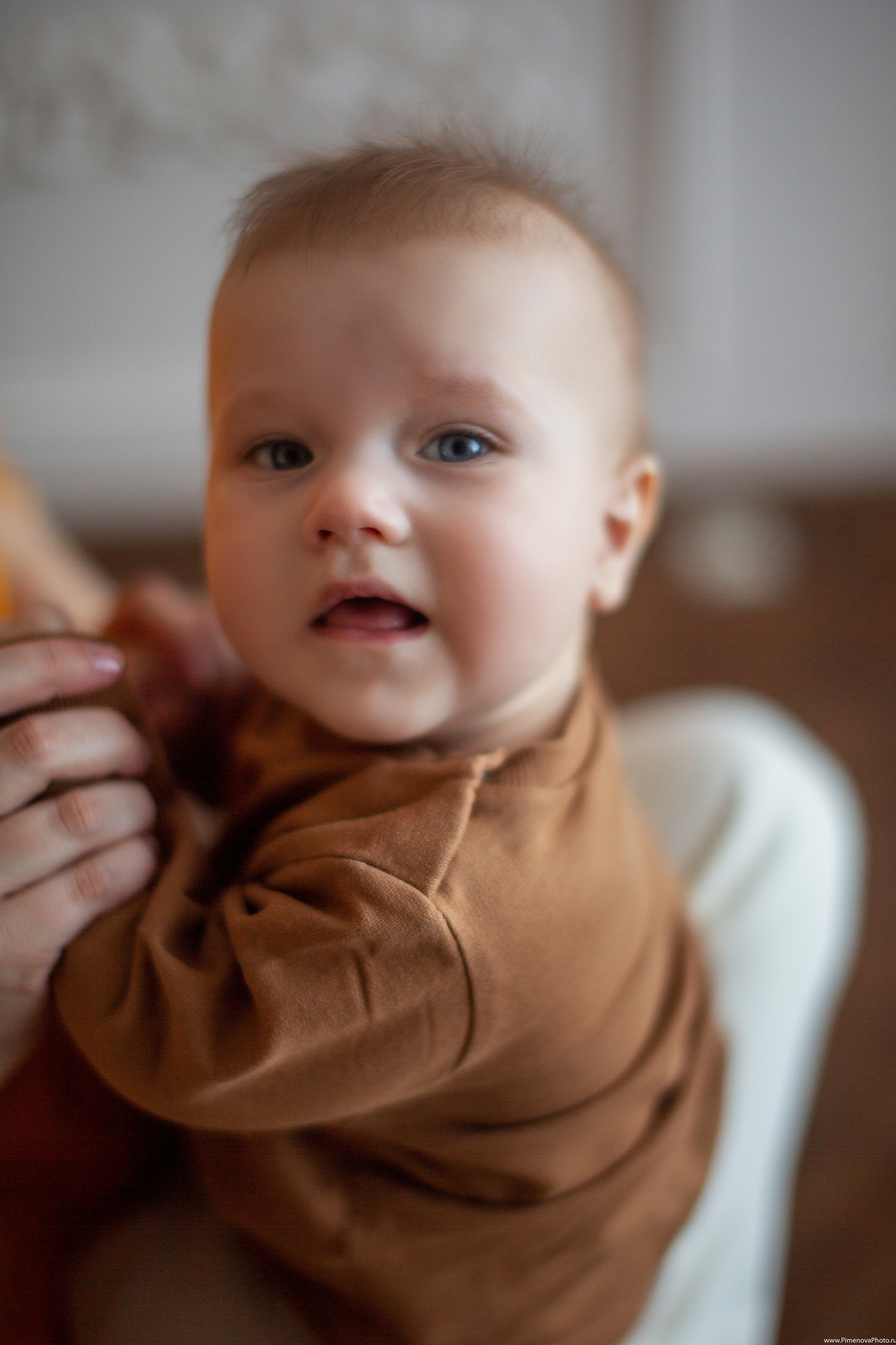 Маркуне Полгода. Семейный и детский фотограф в Петрозаводске