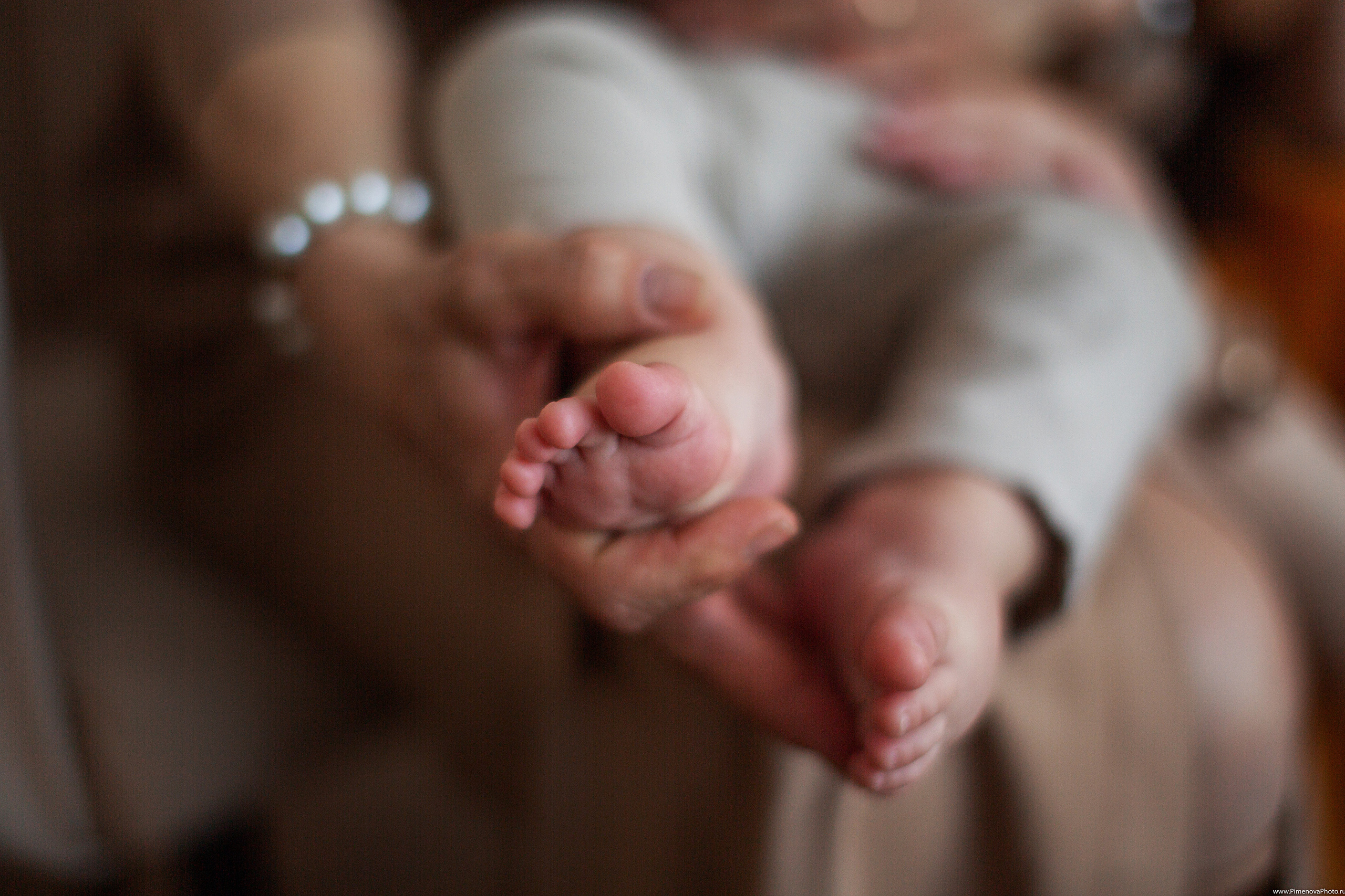 Маркуне Полгода. Семейный и детский фотограф в Петрозаводске
