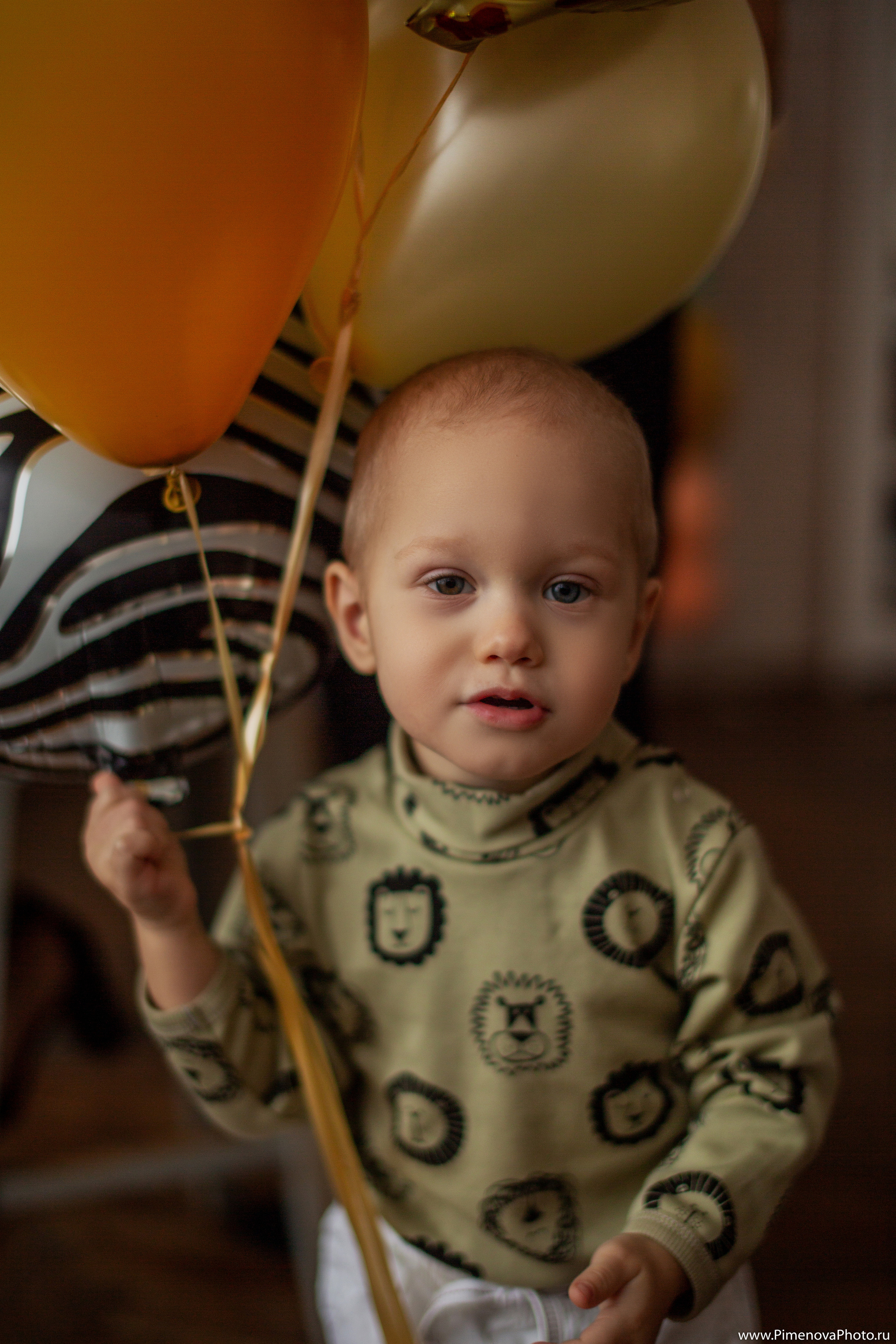 День Рождения. Семейный и детский фотограф в Петрозаводске