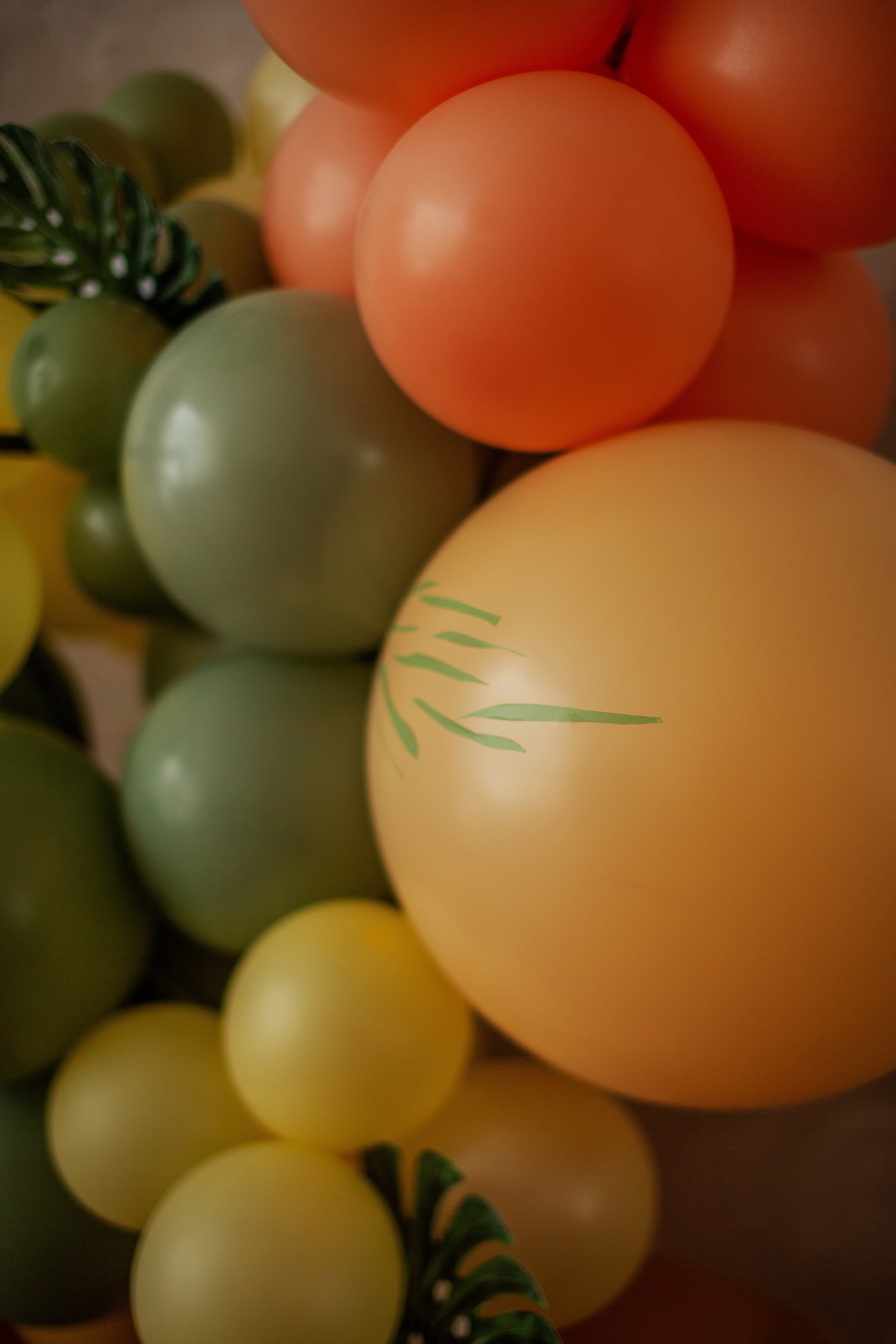 День Рождения. Семейный и детский фотограф в Петрозаводске