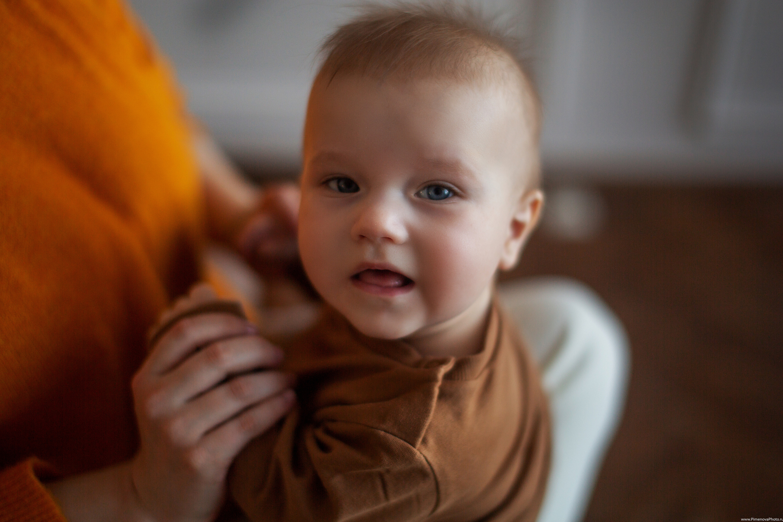 Маркуне Полгода. Семейный и детский фотограф в Петрозаводске