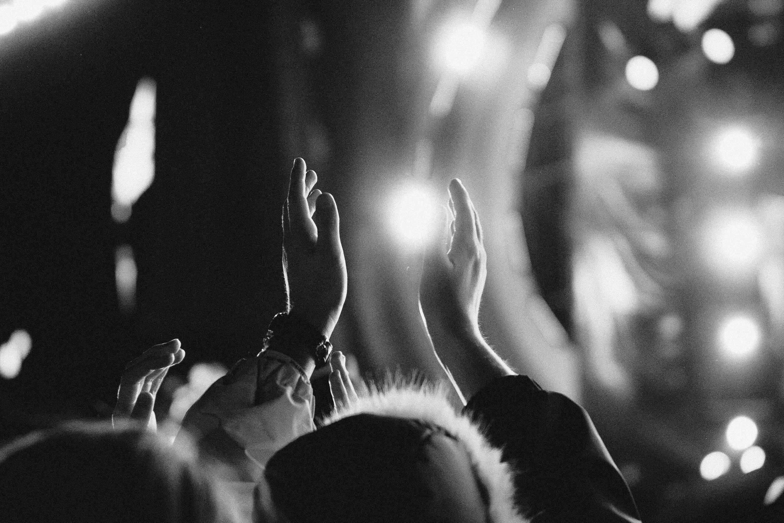 Всемирный фестиваль молодёжи | Сириус | 2024