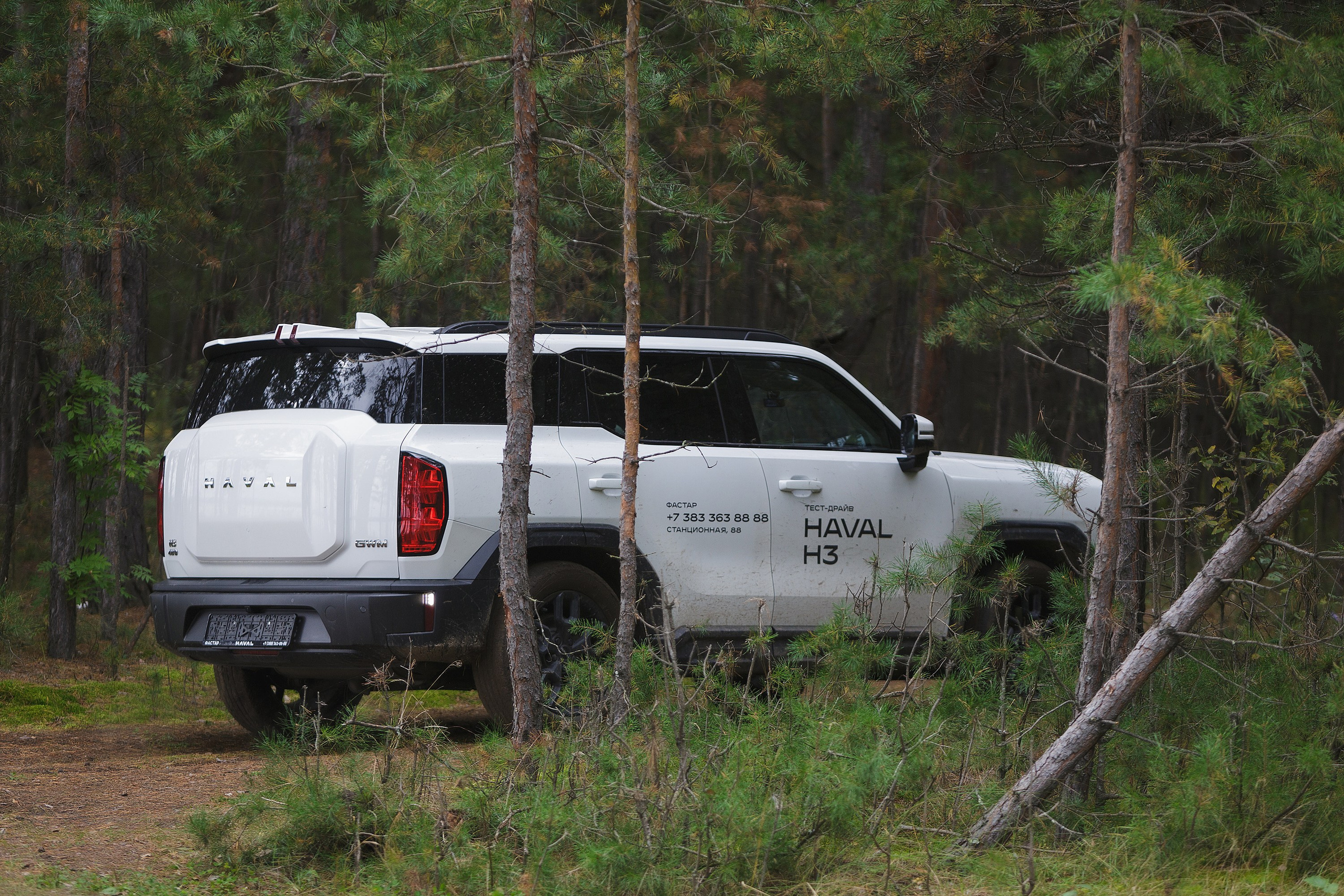 АВТО. Roman Photo