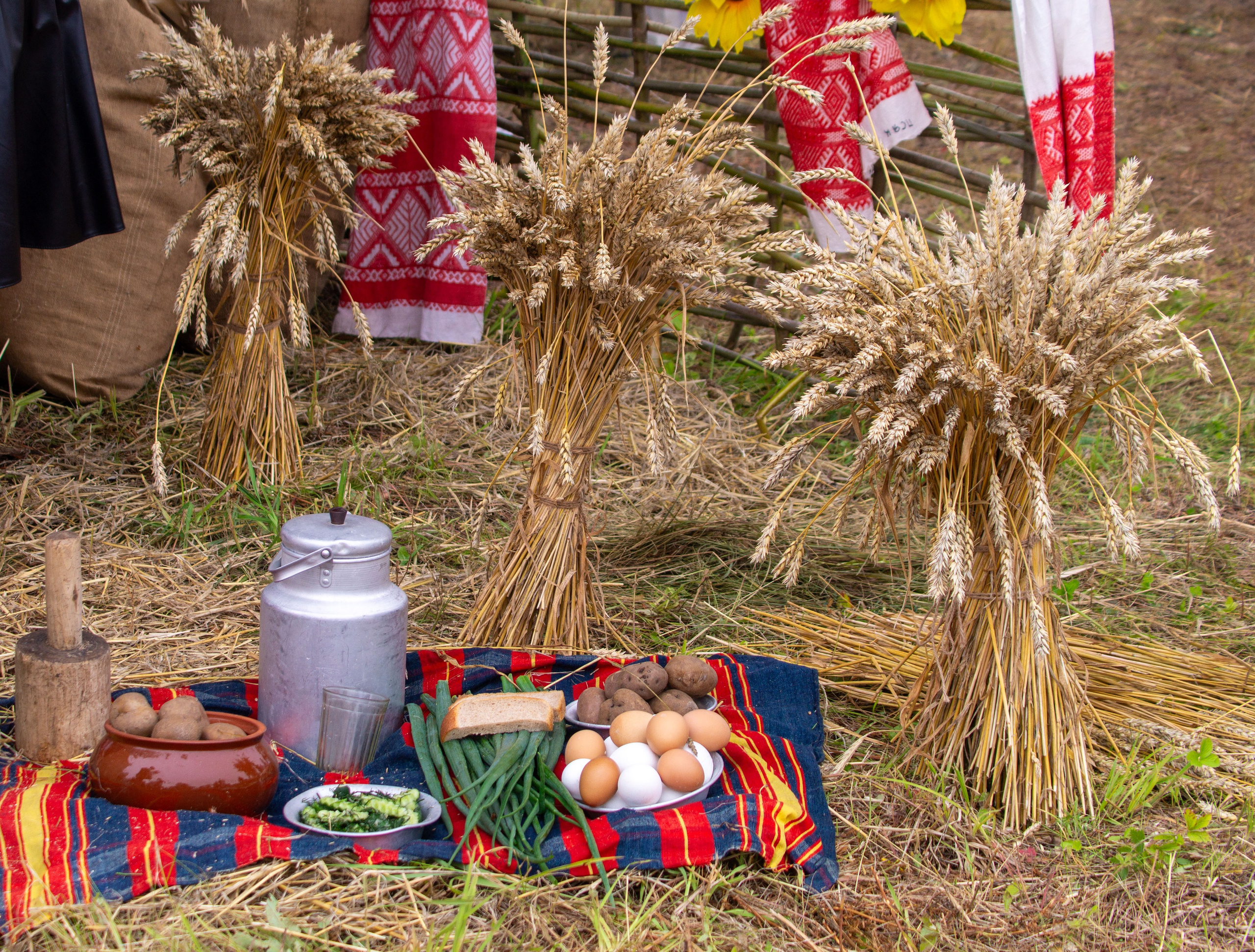 Всероссийский собантуй 2025. Портретный и семейный фотограф Санкт-Петербург