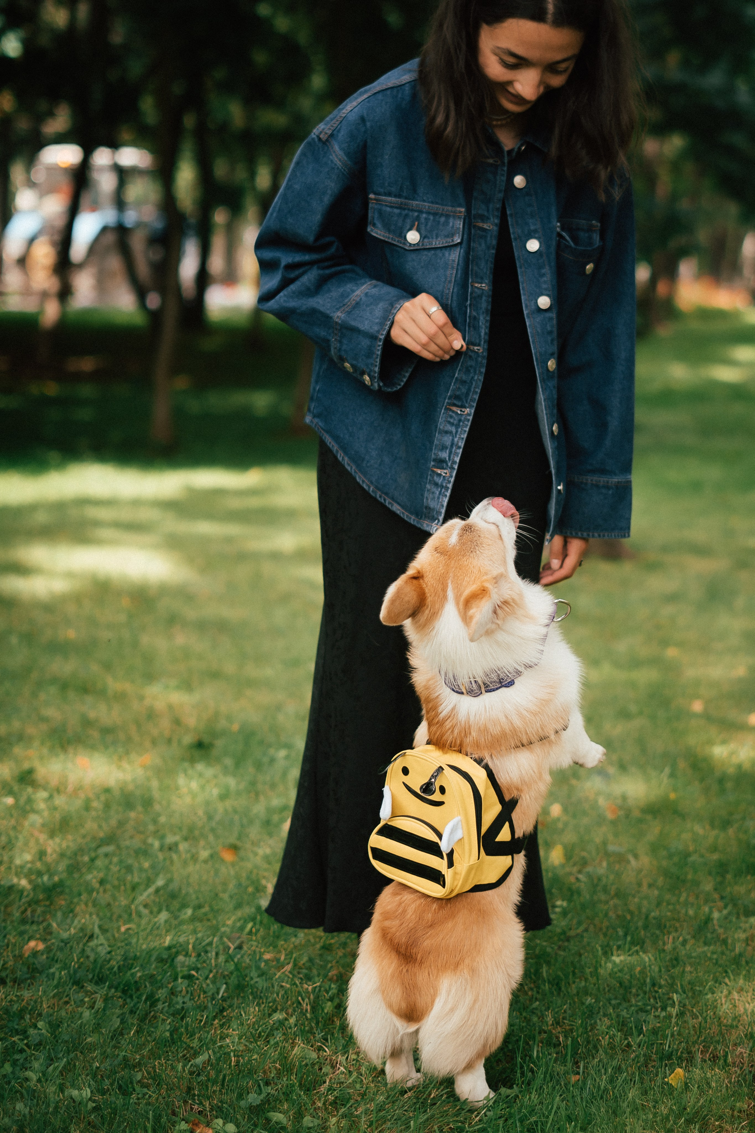 Фотосессия с собакой сахалин. Фотограф сахалин