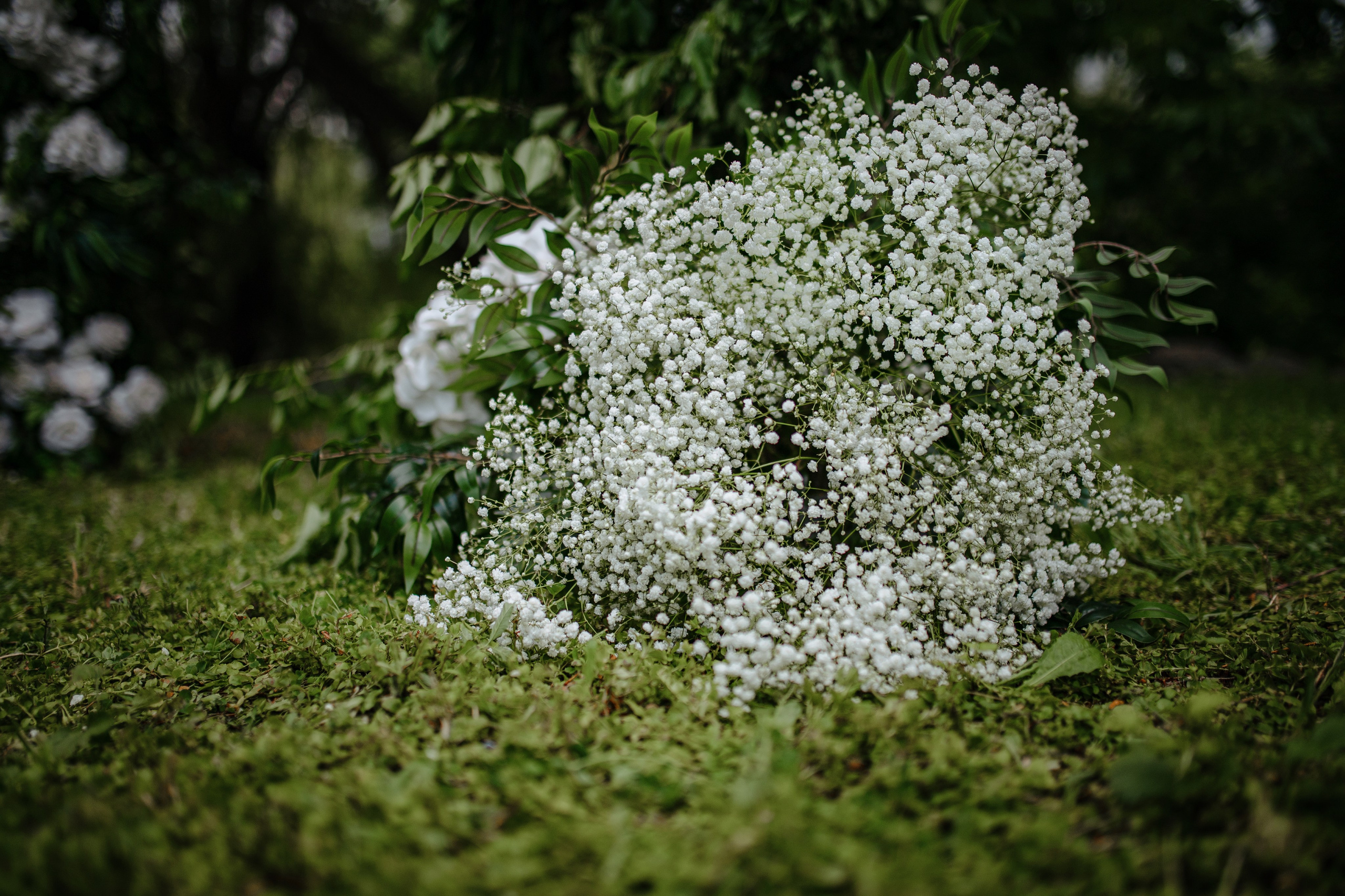 Съёмка свадебного декора. 100-й пруд. Свадебный фотограф Константинова Елена
