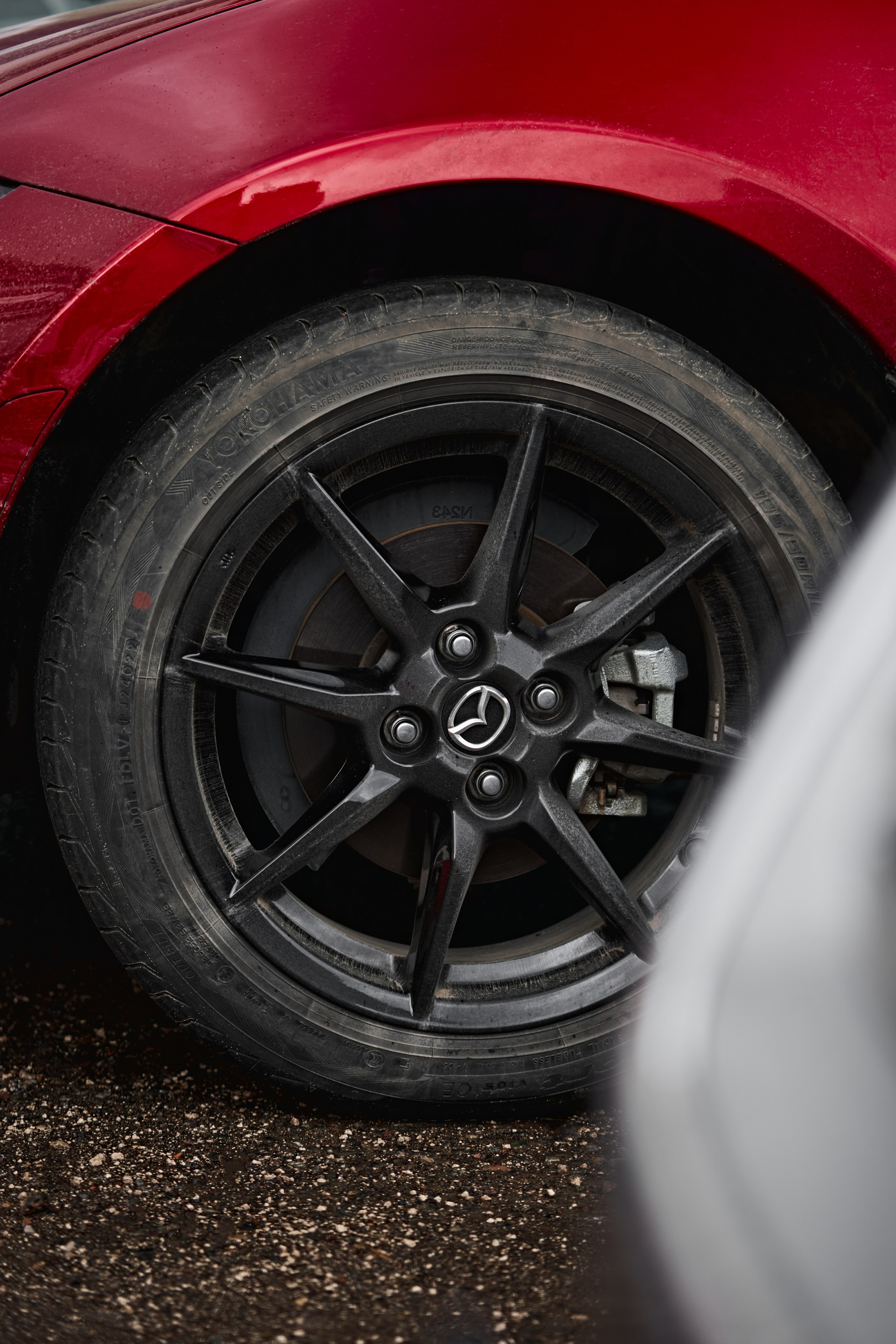 Движение без крыш | 26.04.26. GLAR