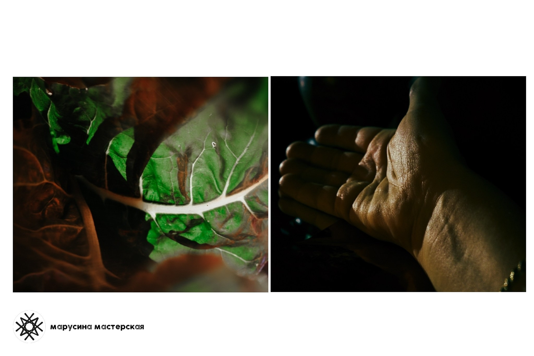 художественная фотография из проекта зимней практики