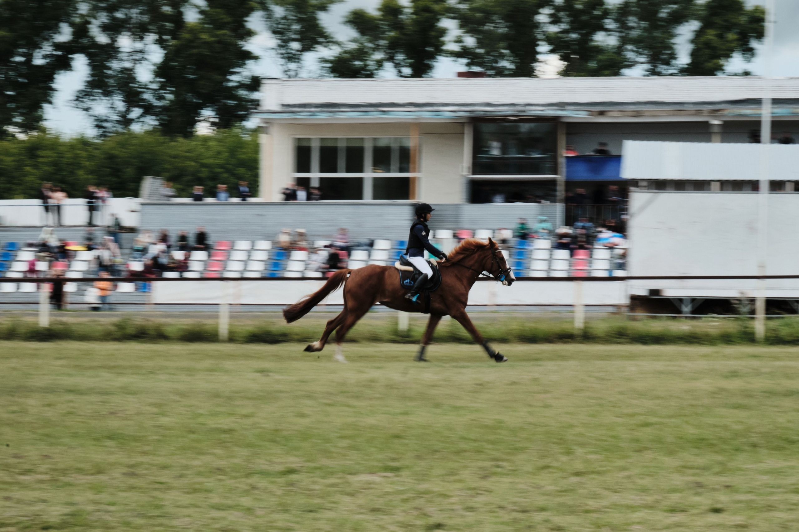 Ипподром. Goncharov Tim