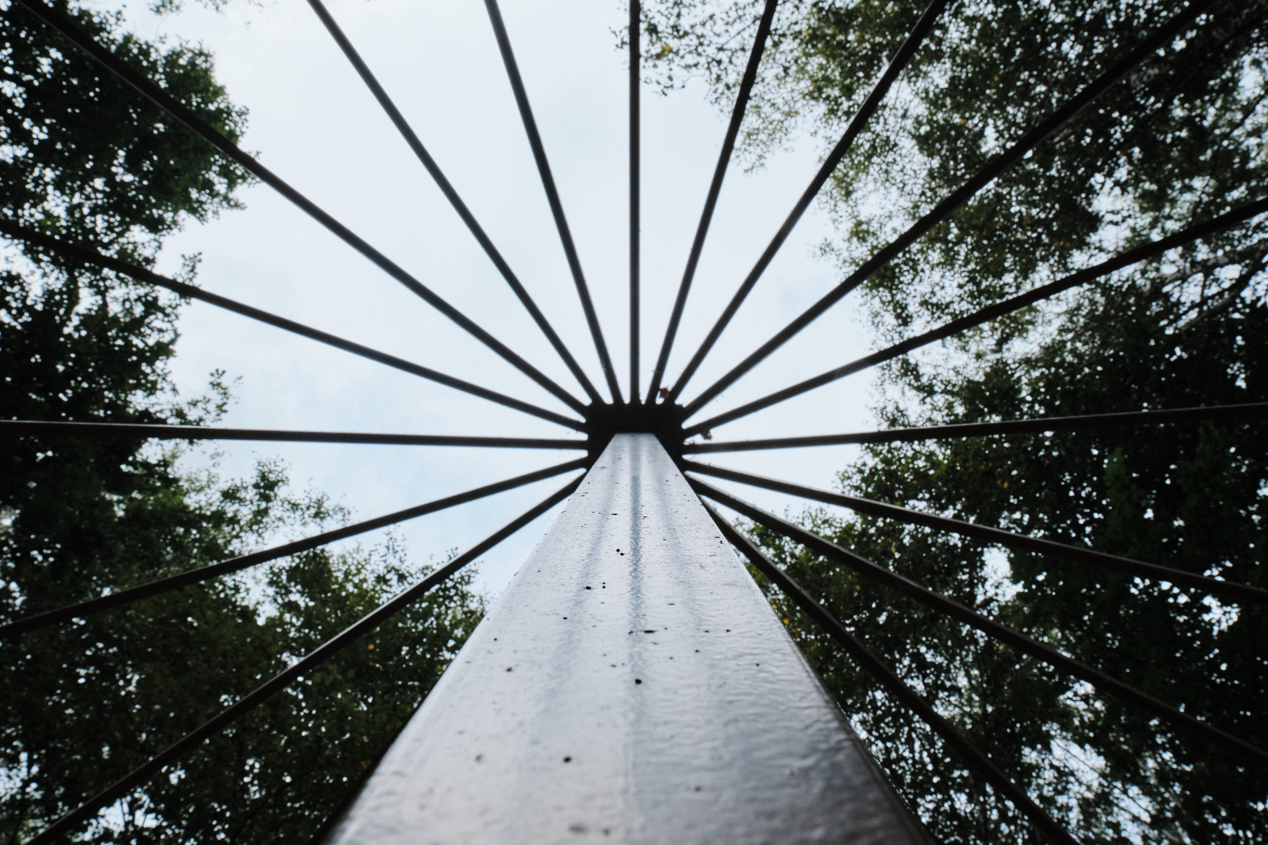 Колывань. Goncharov Tim