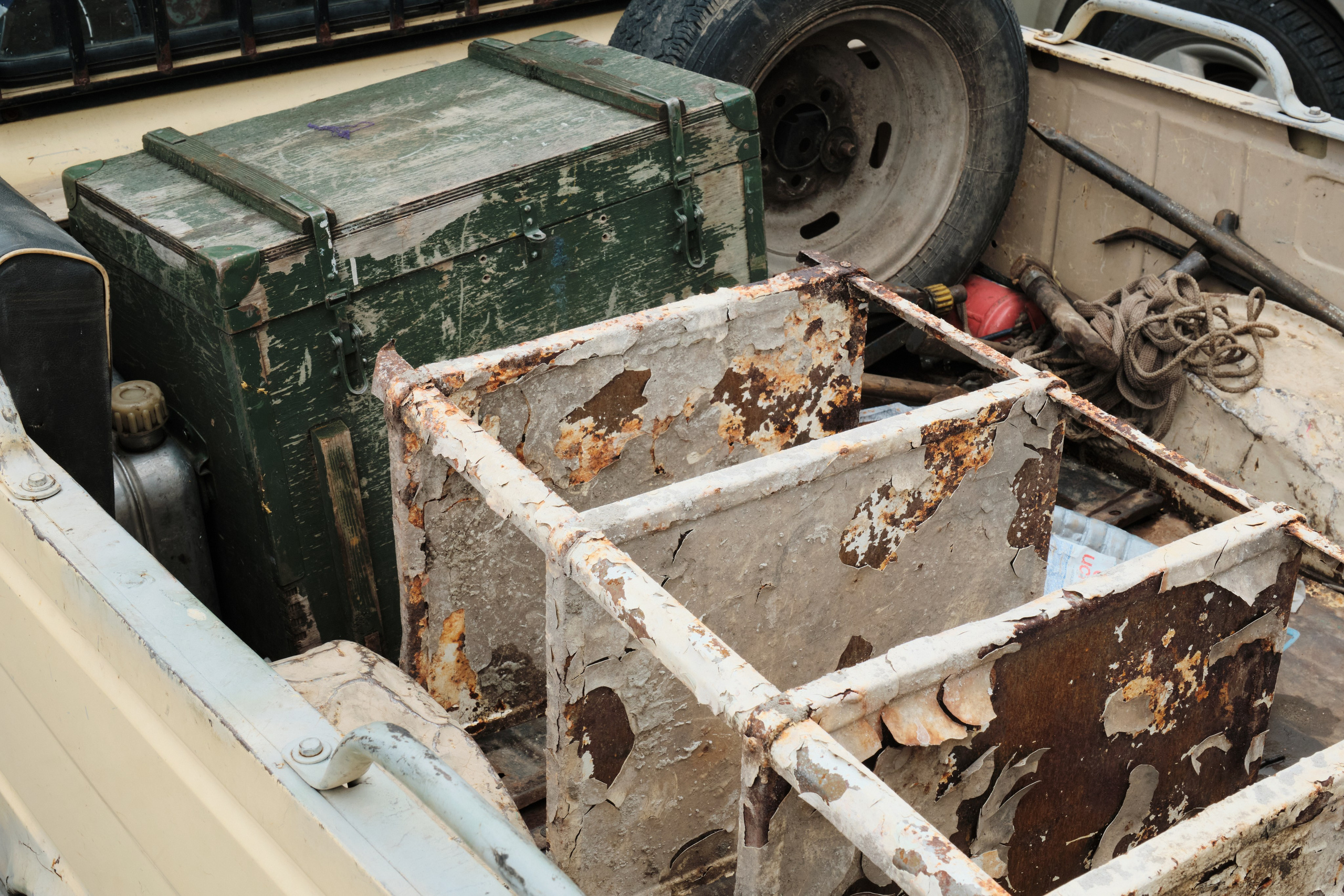 Академ-городок и ботанический сад. Goncharov Tim