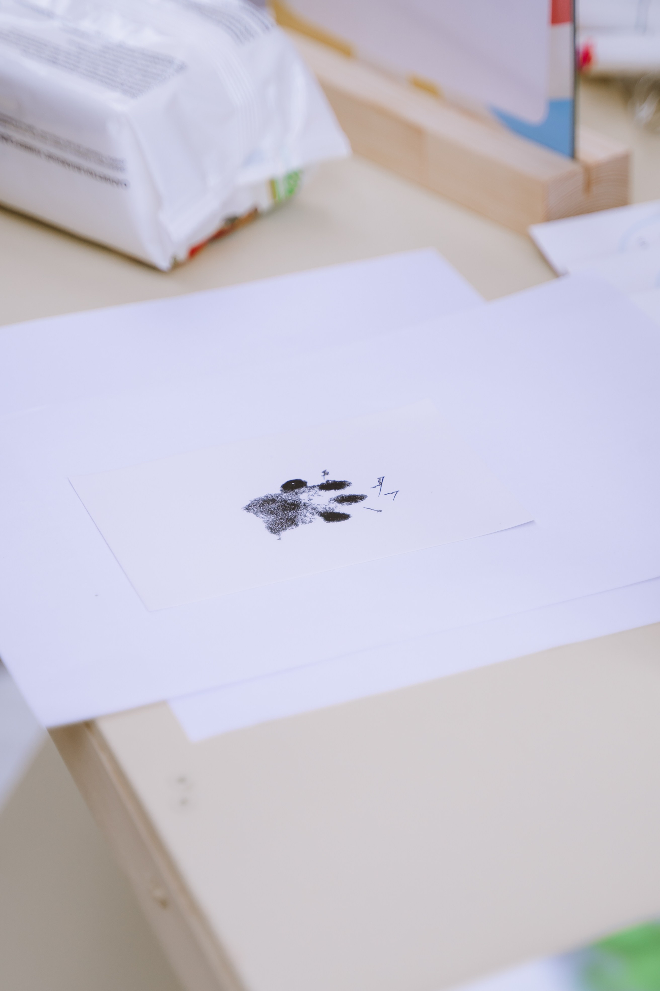 Площадка фестиваля «Мампус и его друзья» в Лесопарке 2025. Фотограф Надежда Погребняк | Рязань | Москва