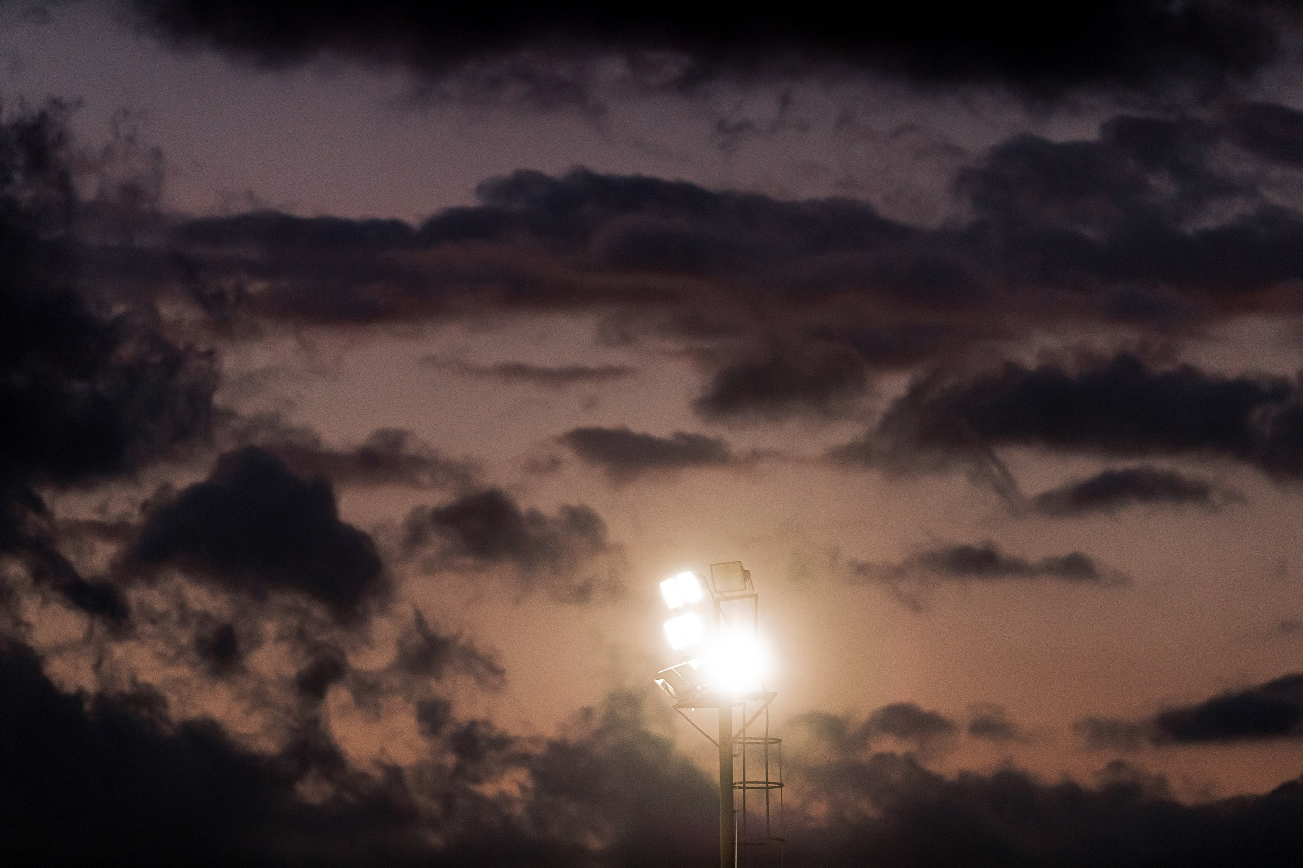 Dynamo women’s team training camp in Turkey, 2024. Фотограф Кирилл Сафонов