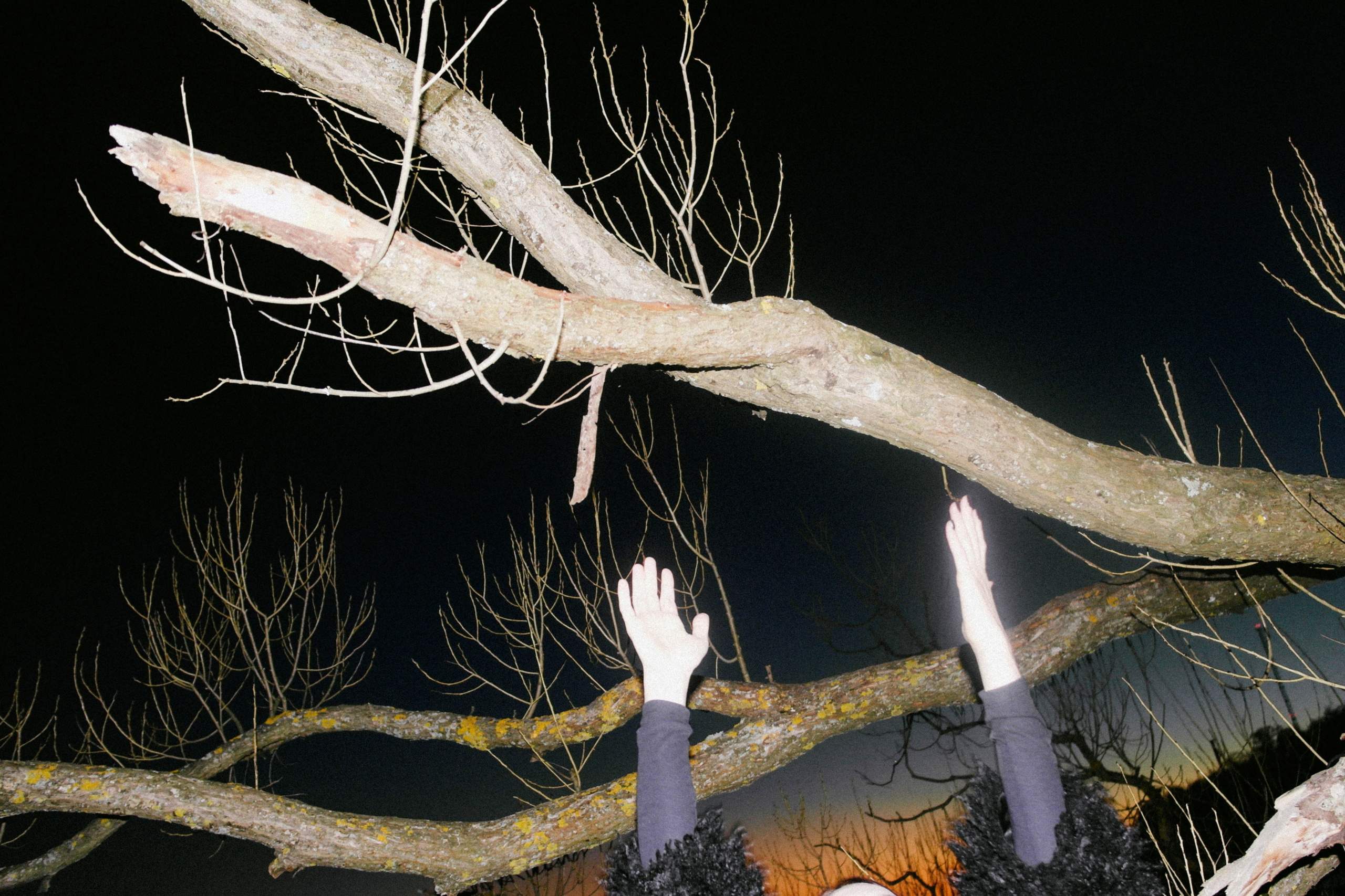 MARGARET. Shyjungle's Portfolio