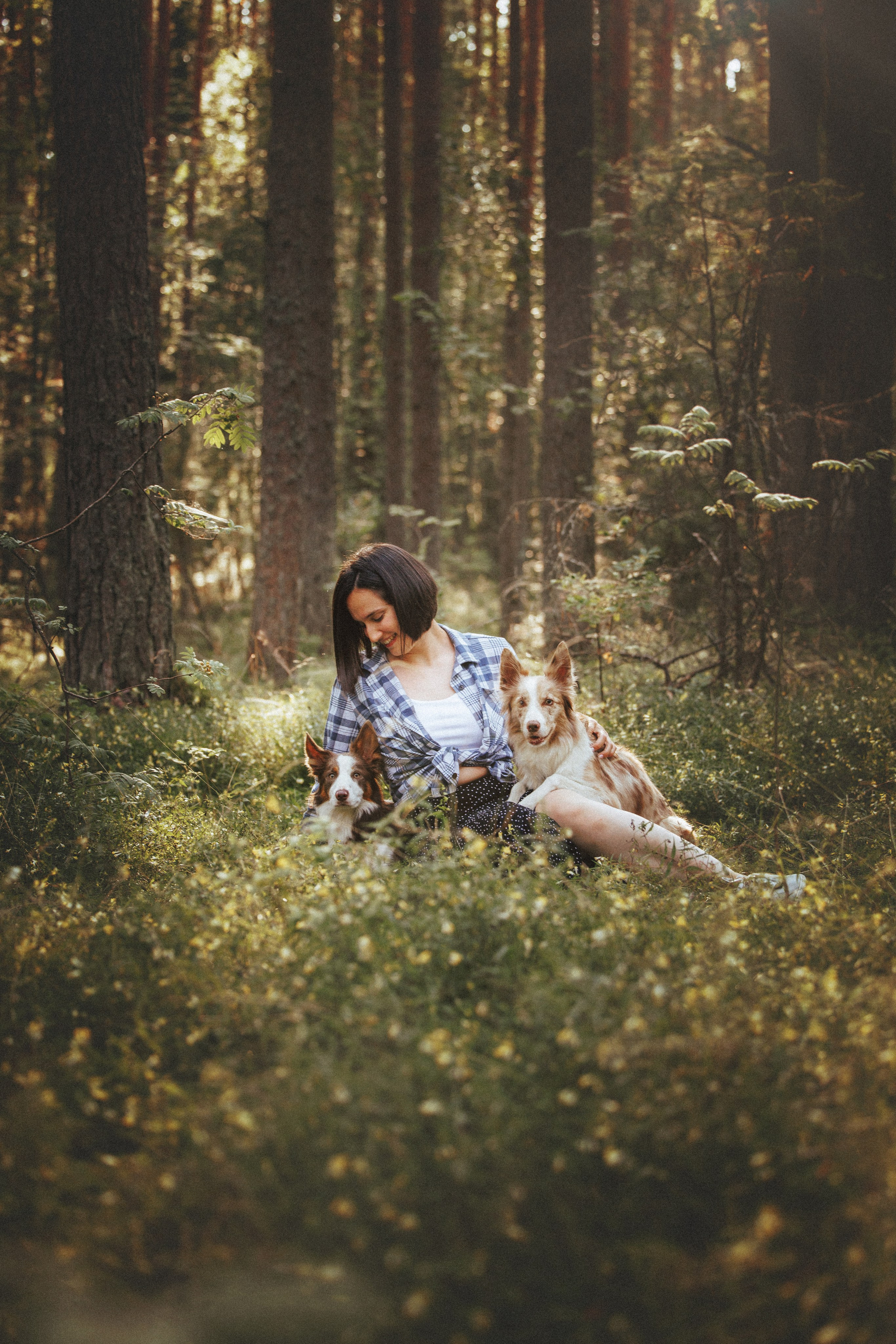 Рита, Маша и много собак. Фотограф анималист Осипчикова Мария