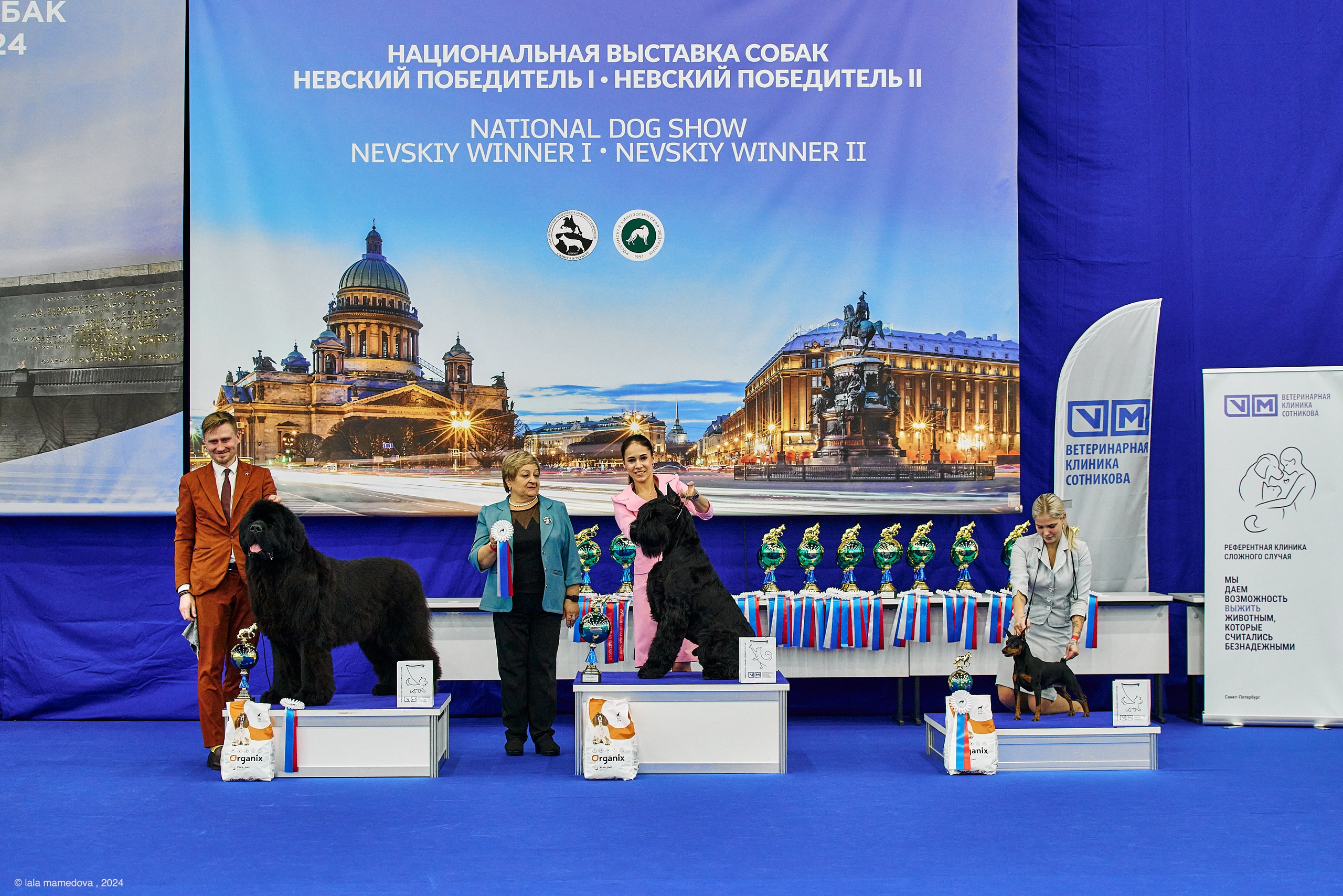 РЕЙТИНГОВАЯ ВЫСТАВКА СОБАК ВСЕХ ПОРОД С ОСОБЫМ СТАТУСОМ"НЕВСКИЙ ПОБЕДИТЕЛЬ-2024-2"