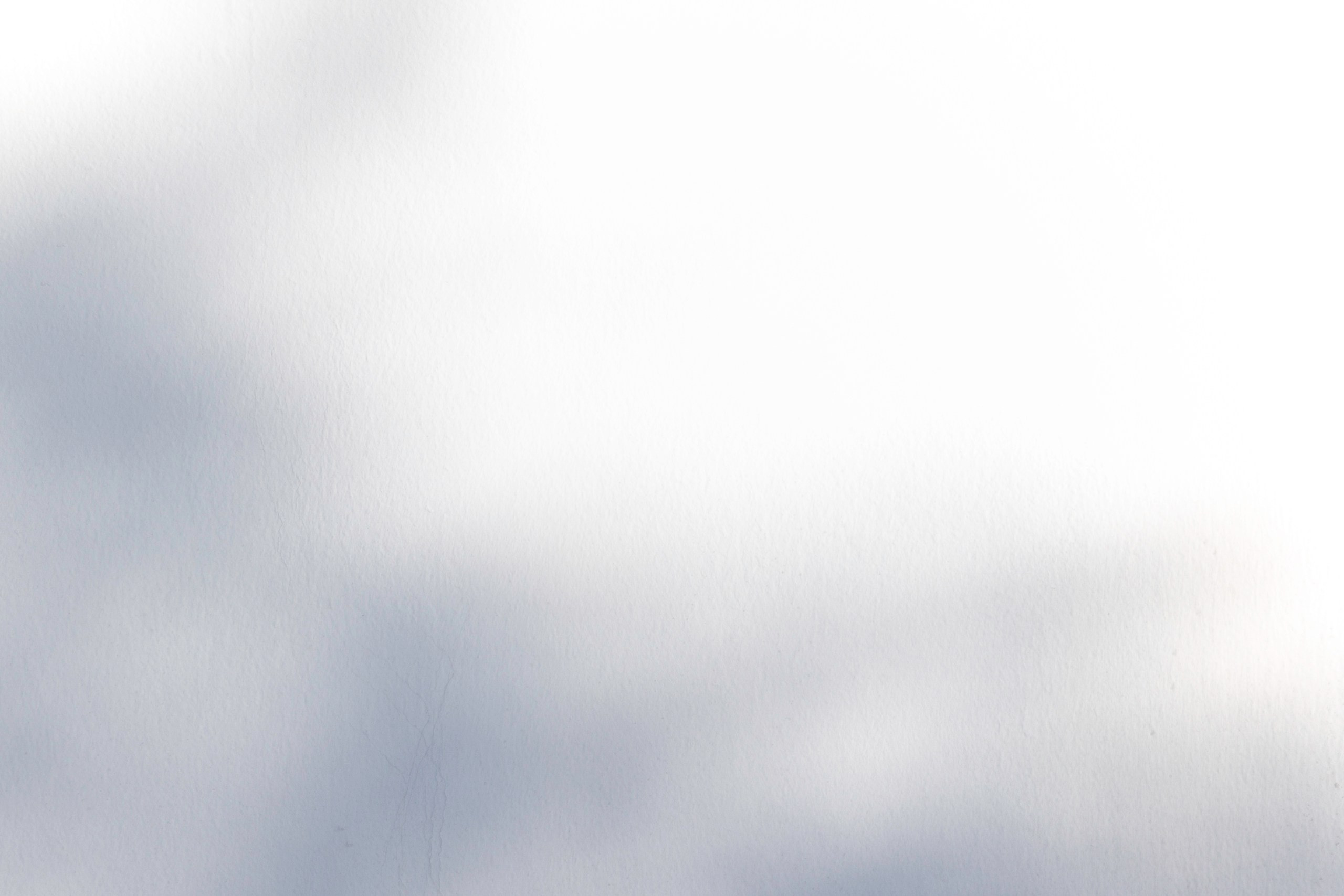 Пейзаж в интерьере | Interior landscape. Фотограф алина стерхова, алина стерхова фотограф, фотограф москва