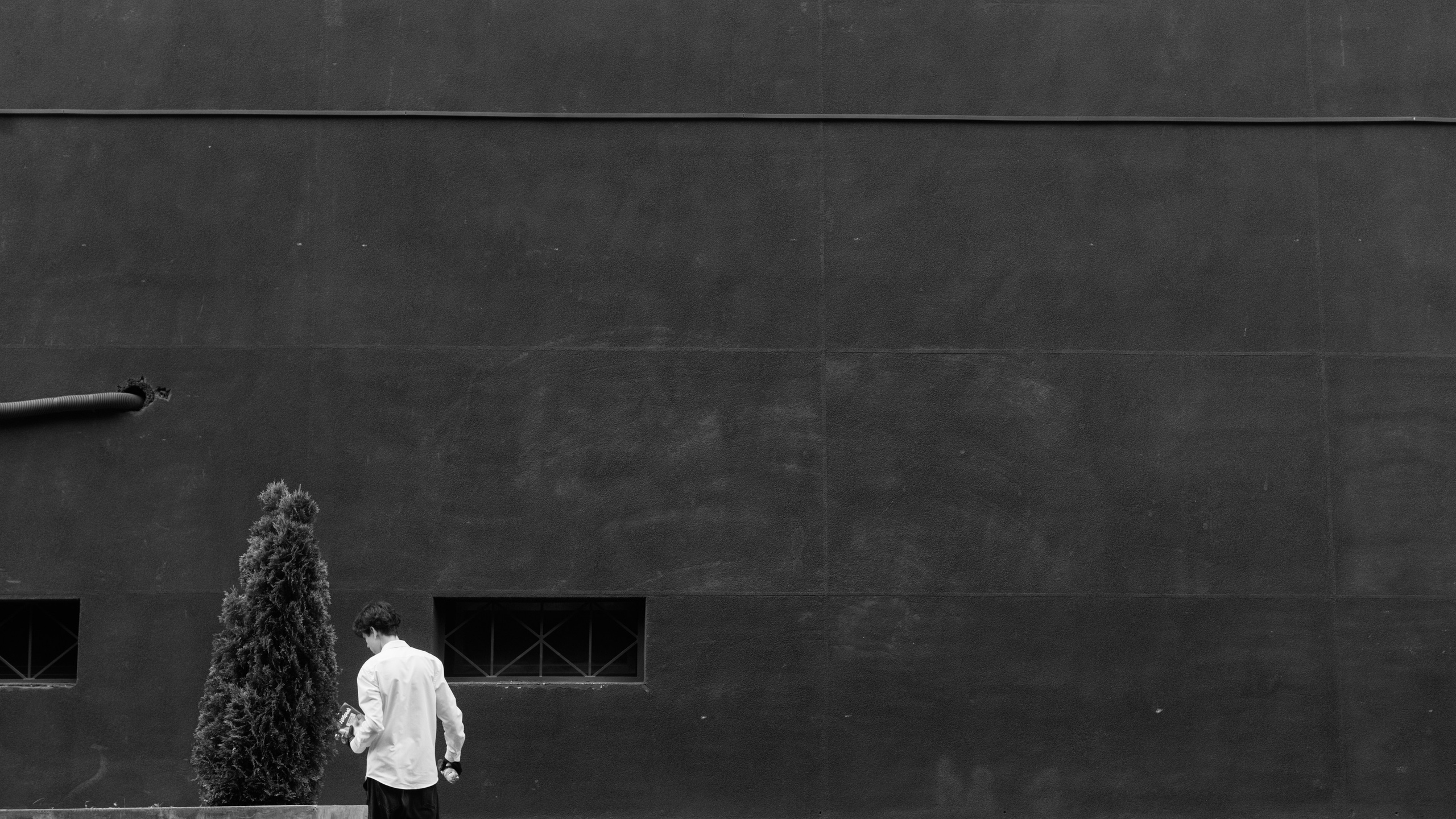 Sergey&Nastya. Свадебный фотограф в Санкт-Петербурге и Москве Андрей Чернов