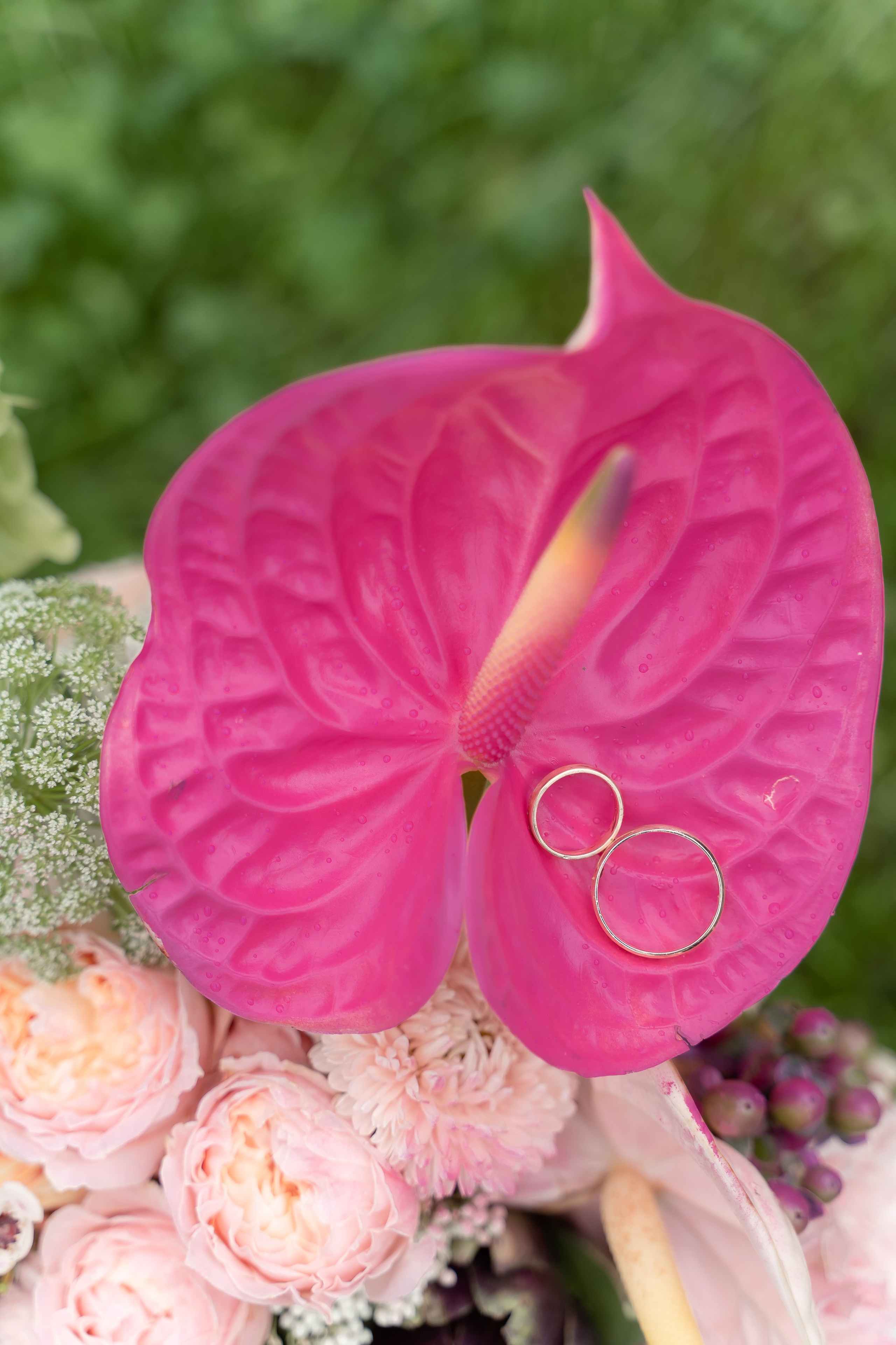 Максим и Лика. Свадебный и семейный фотограф в Новосибирске Наталья Зорина