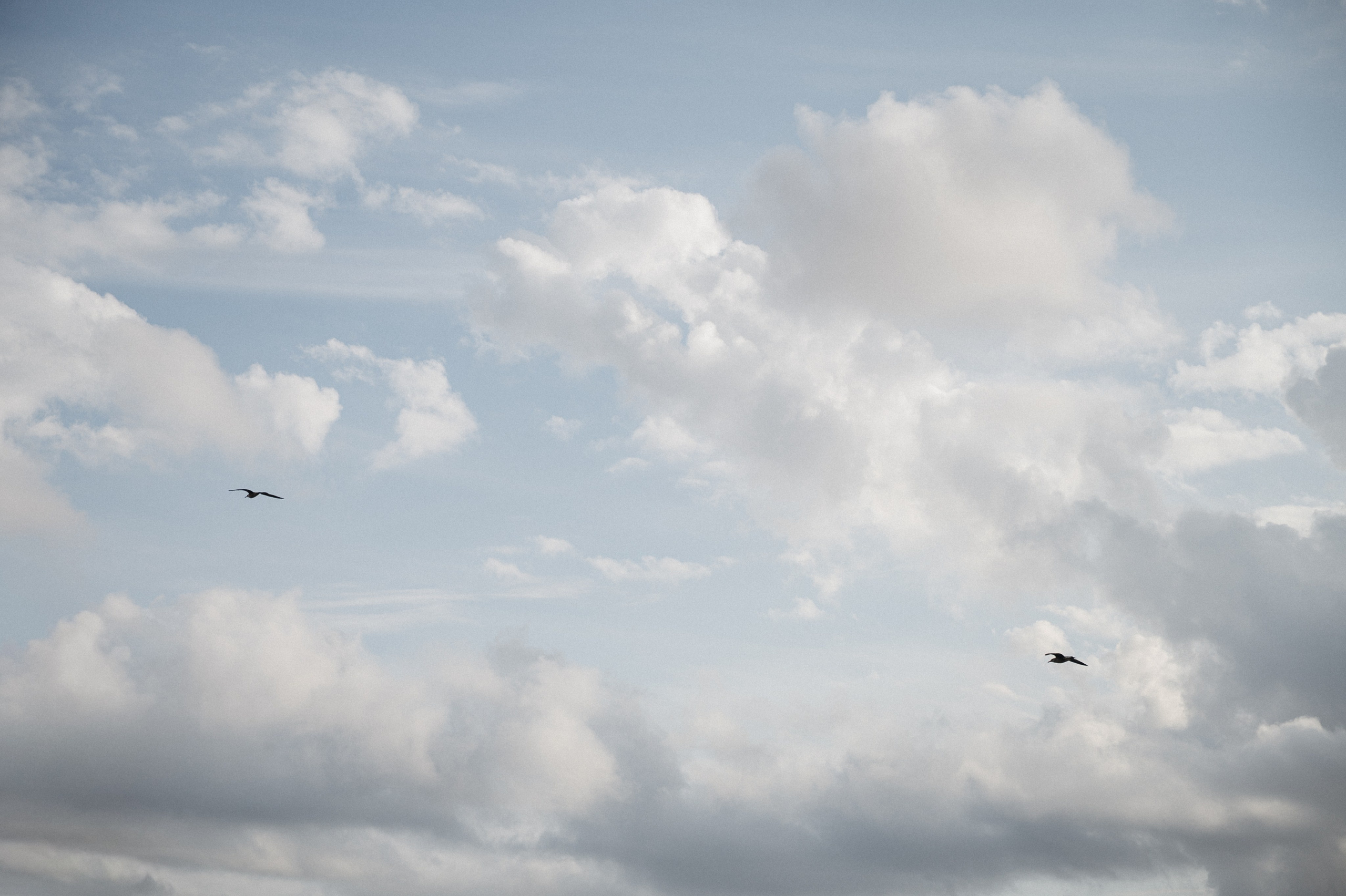 История любви Семёна и Елизаветы. Свадебный и семейный фотограф в Краснодаре Марина Стёпа