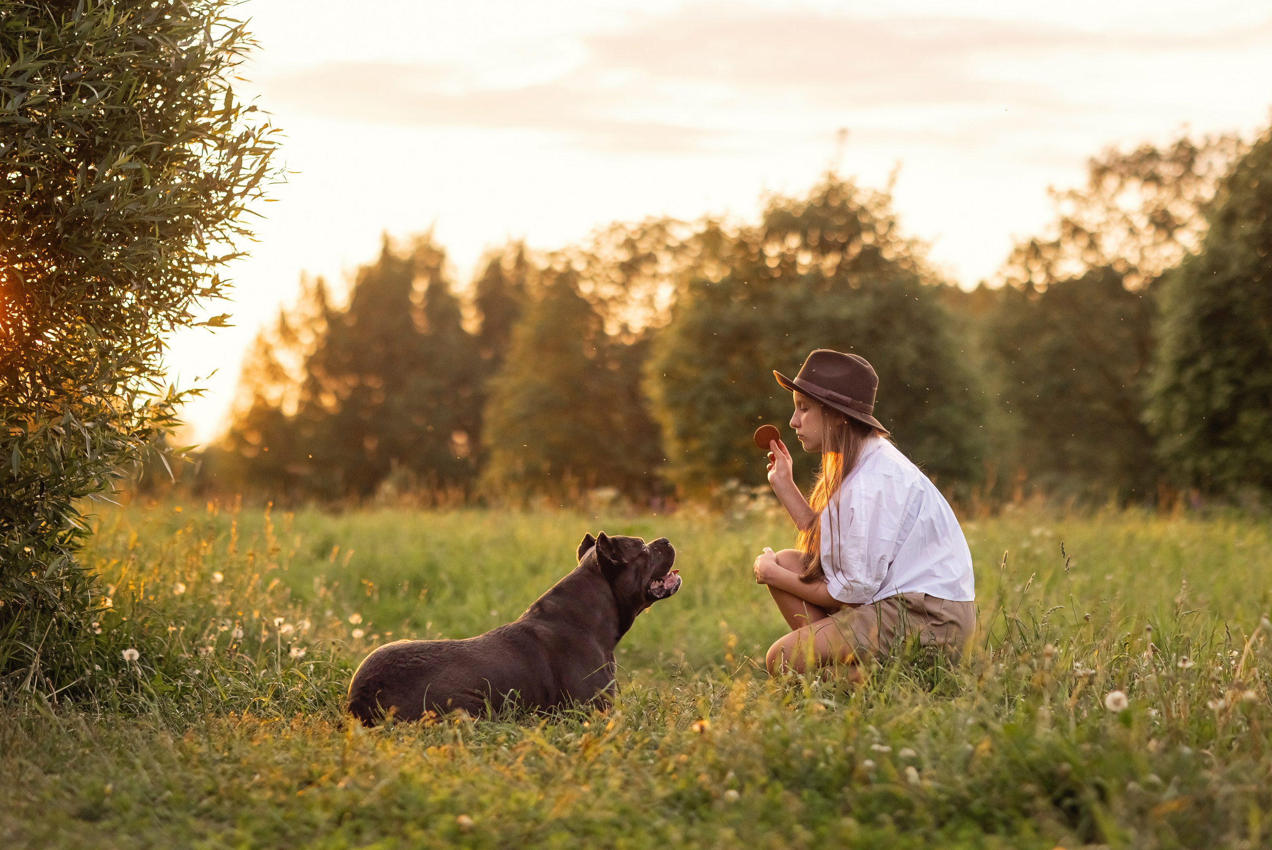 Собака Баскервилей. Детский и семейный фотограф в Москве Анна Ипатьева