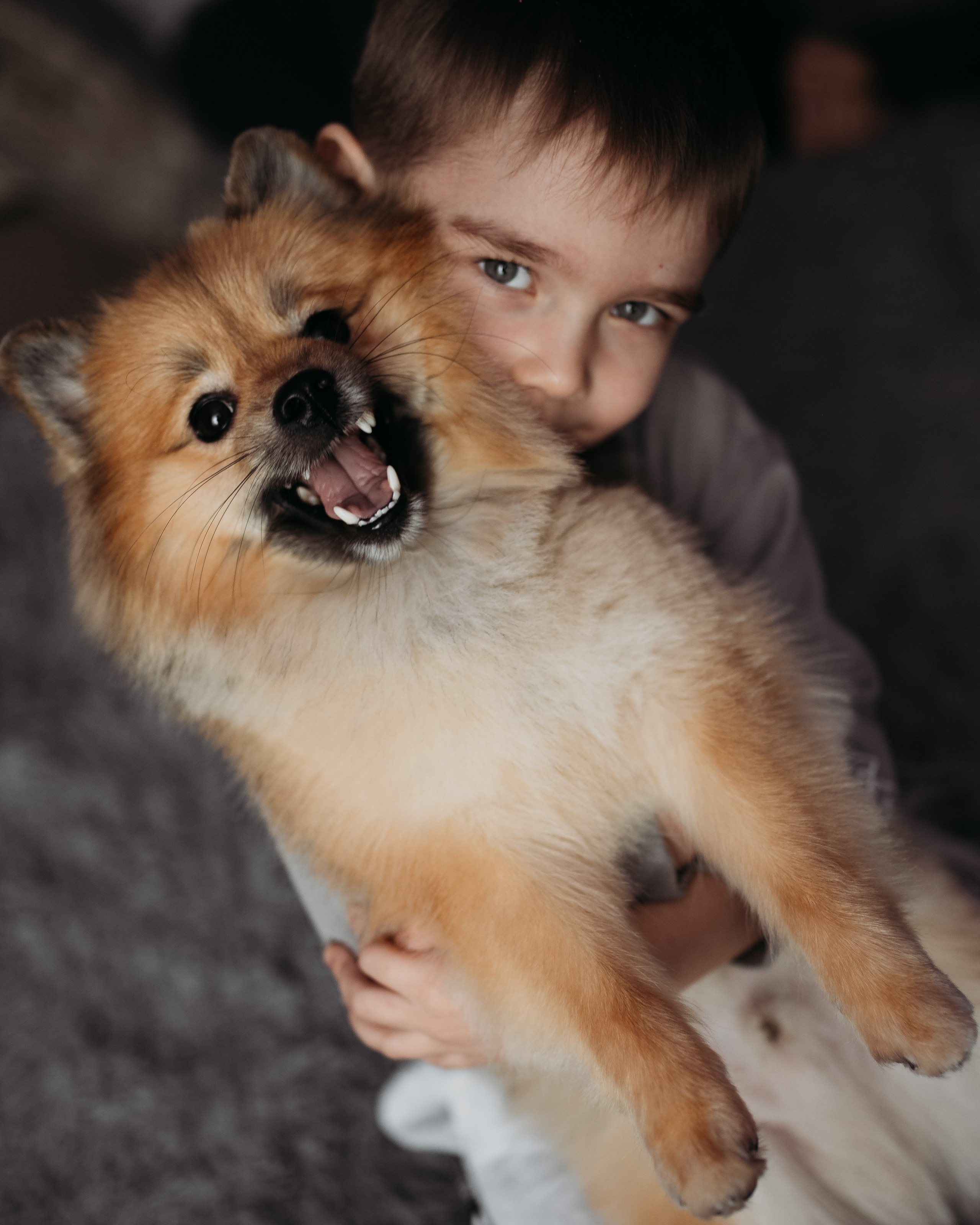 Алла, Руслан и Тимур. Фотограф г. Хабаровск