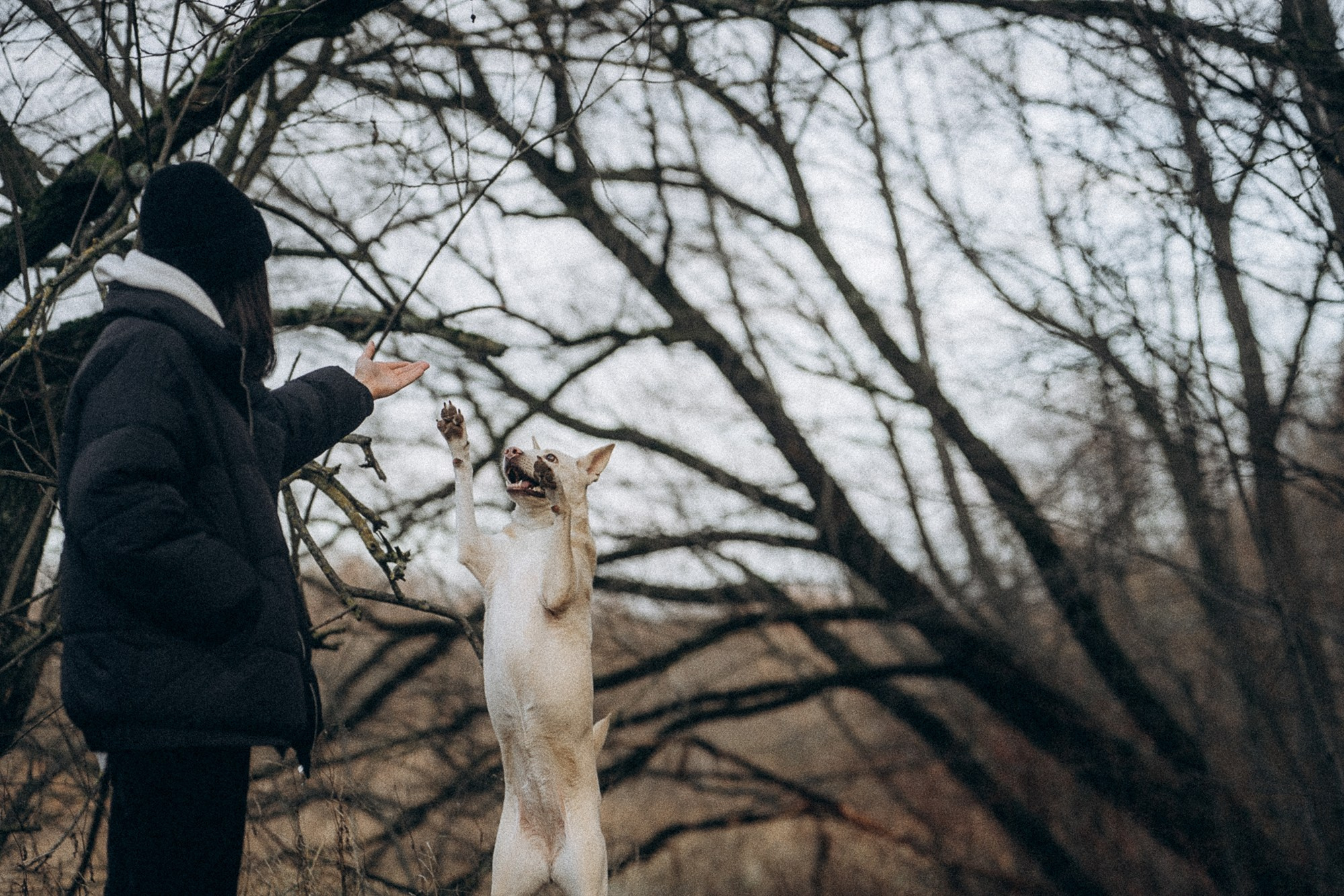 Туся. Фотограф анималист в Москве и Санкт-Петербурге Свиридова Анна
