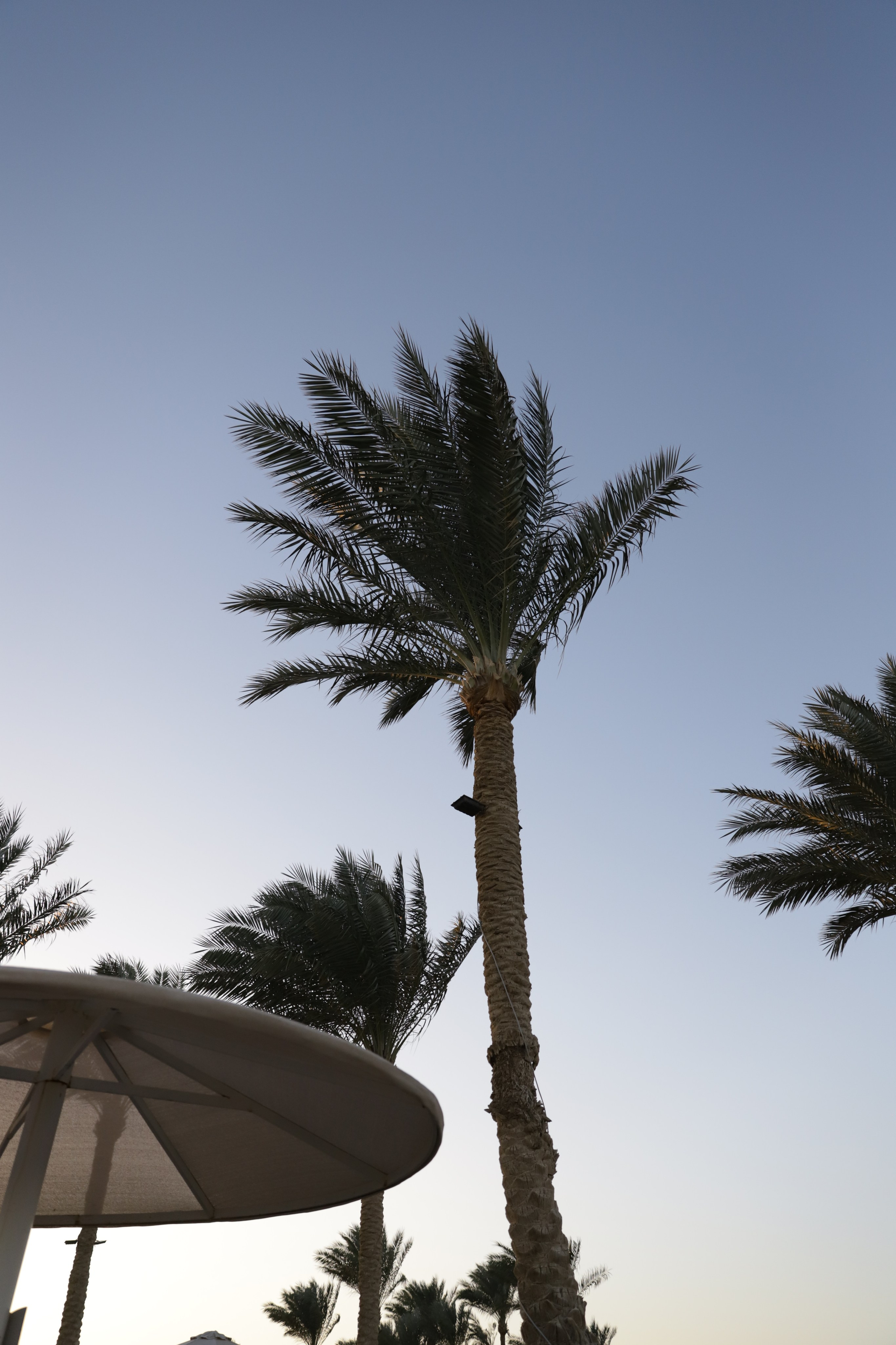 Шарм-Эль-Шейх. Светлана Иванова - профессиональный фотограф