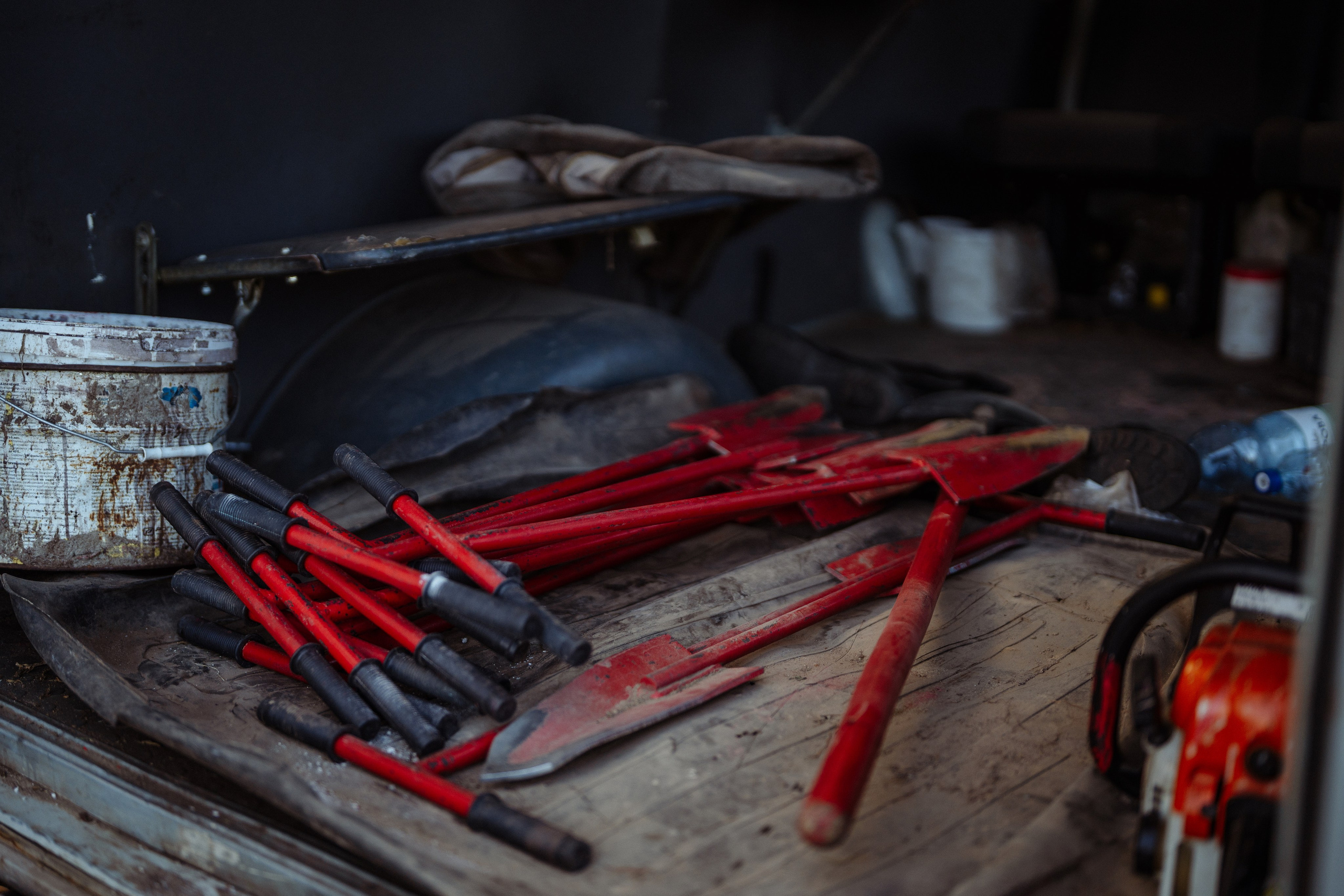 СБЕР · ЭКА · Посадка сеянцев. Владимир Вершинин, тот самый свадебный видеограф