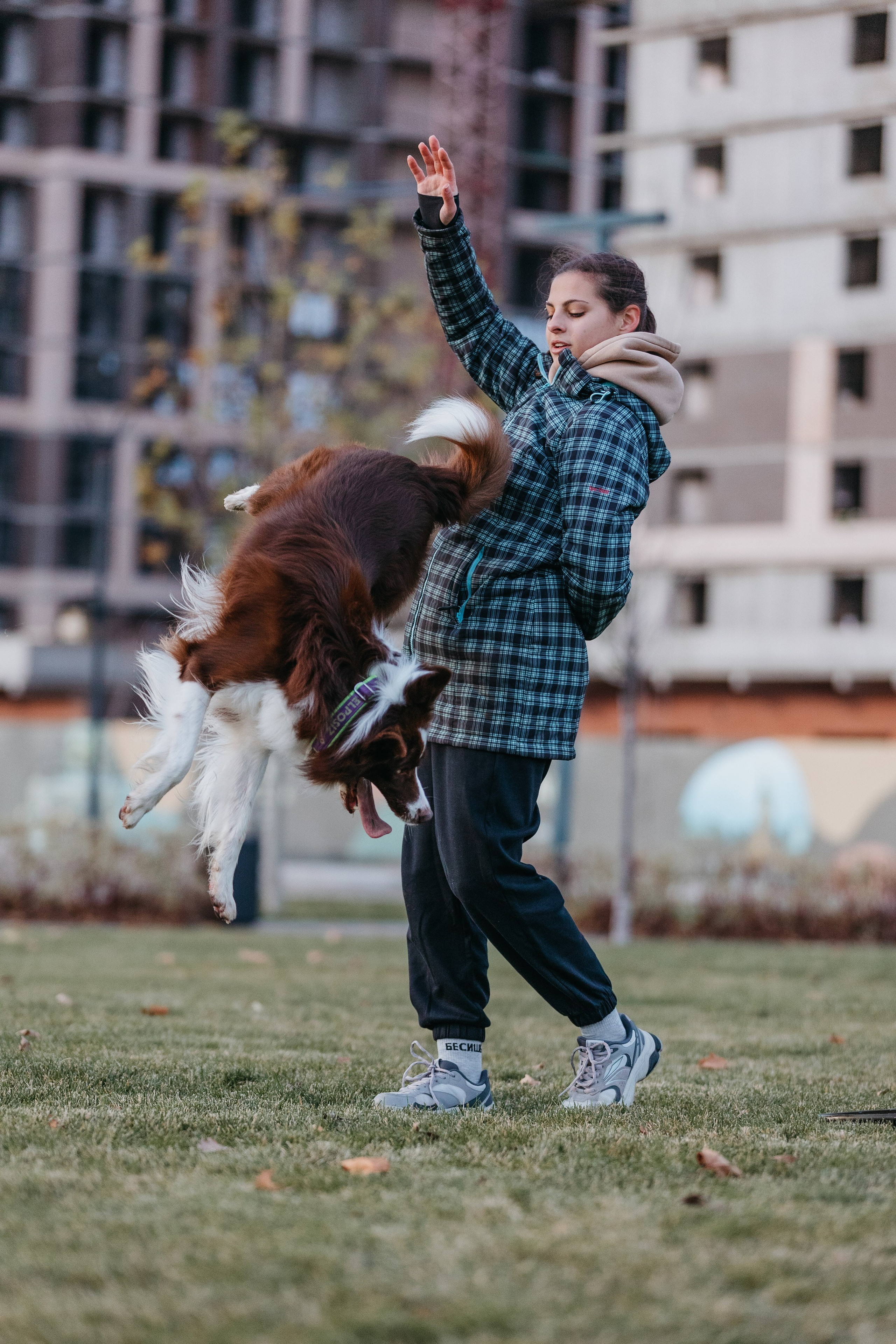 Маша и Тори. Фотограф — анималист Светлана Кысса|фотограф собак в Краснодаре и Нижнем Новгороде