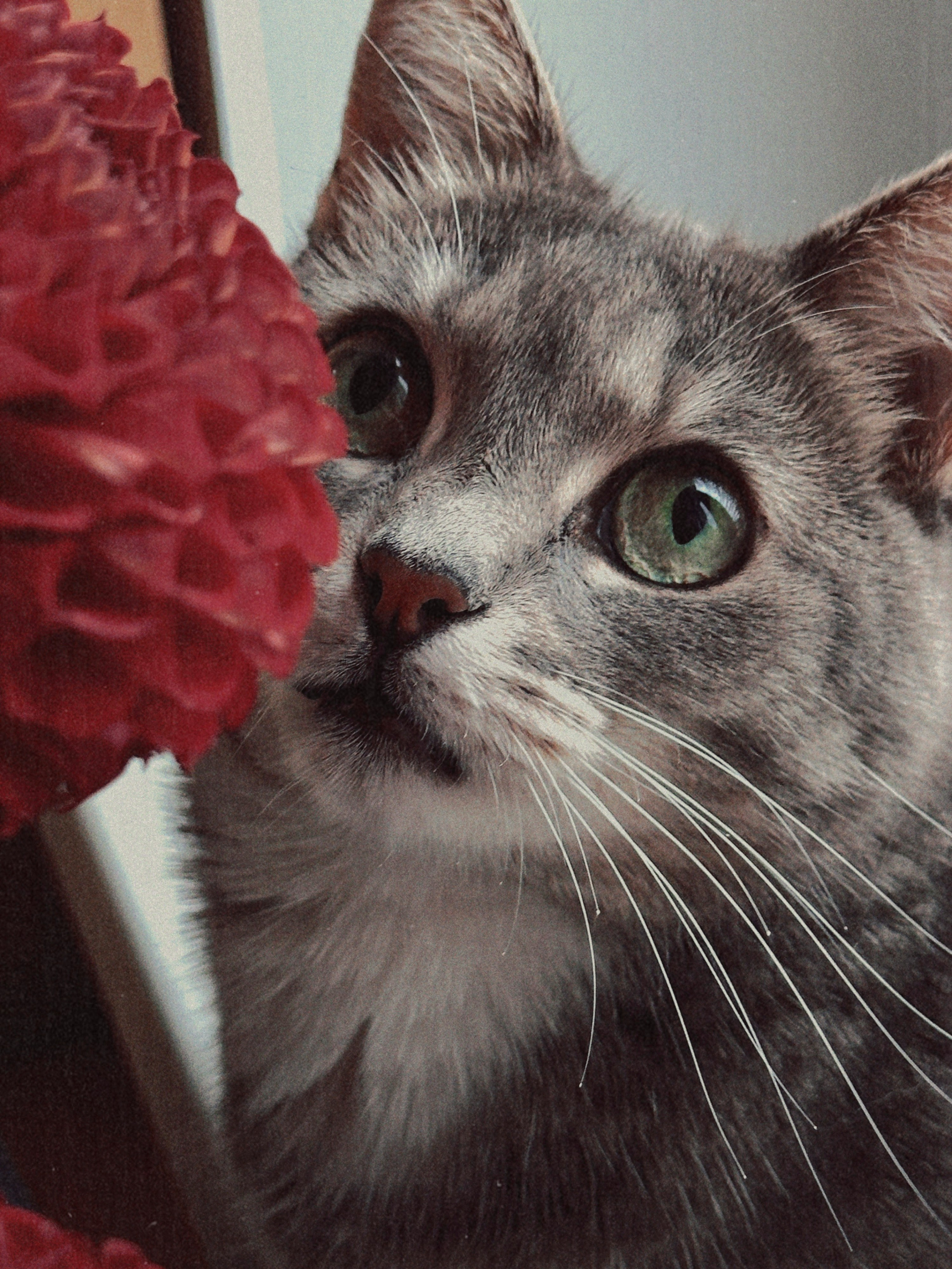 Предметная съёмка. Чувственный мобильный фотограф в Казани и Сочи Дьяченко Дарья