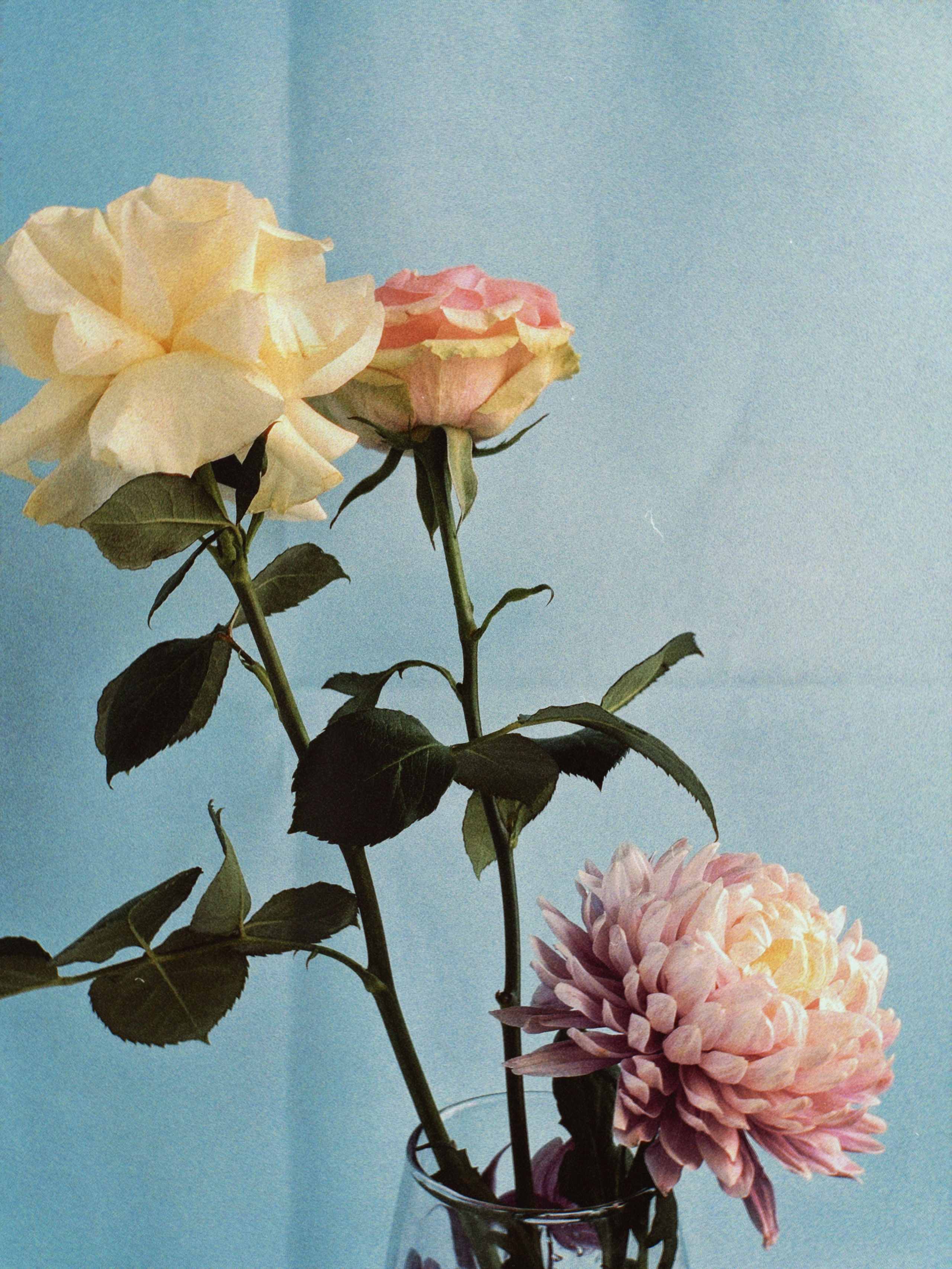 Предметная съёмка. Чувственный мобильный фотограф в Казани и Сочи Дьяченко Дарья