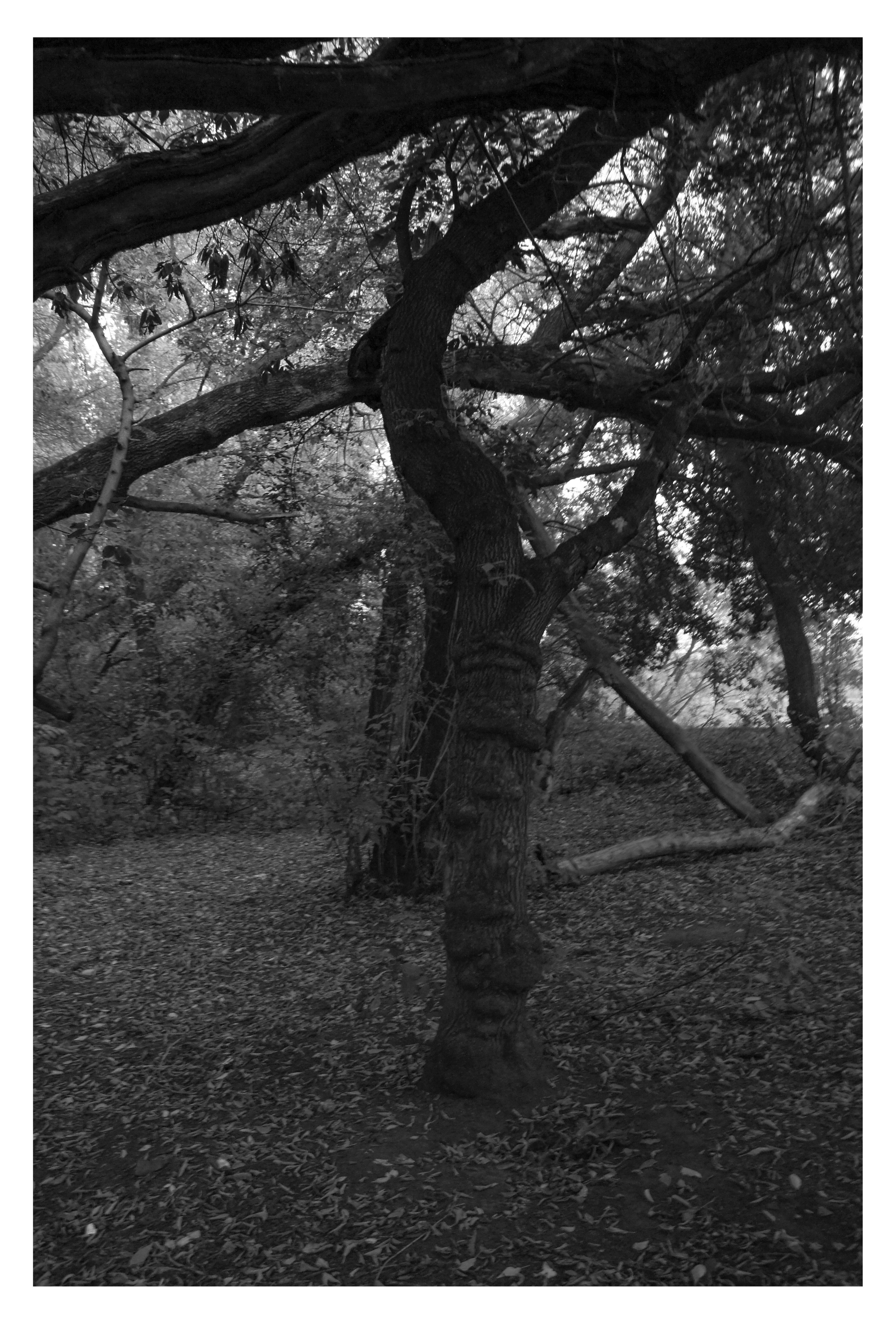 CHELYABINSK. Photographer Manakova Olga