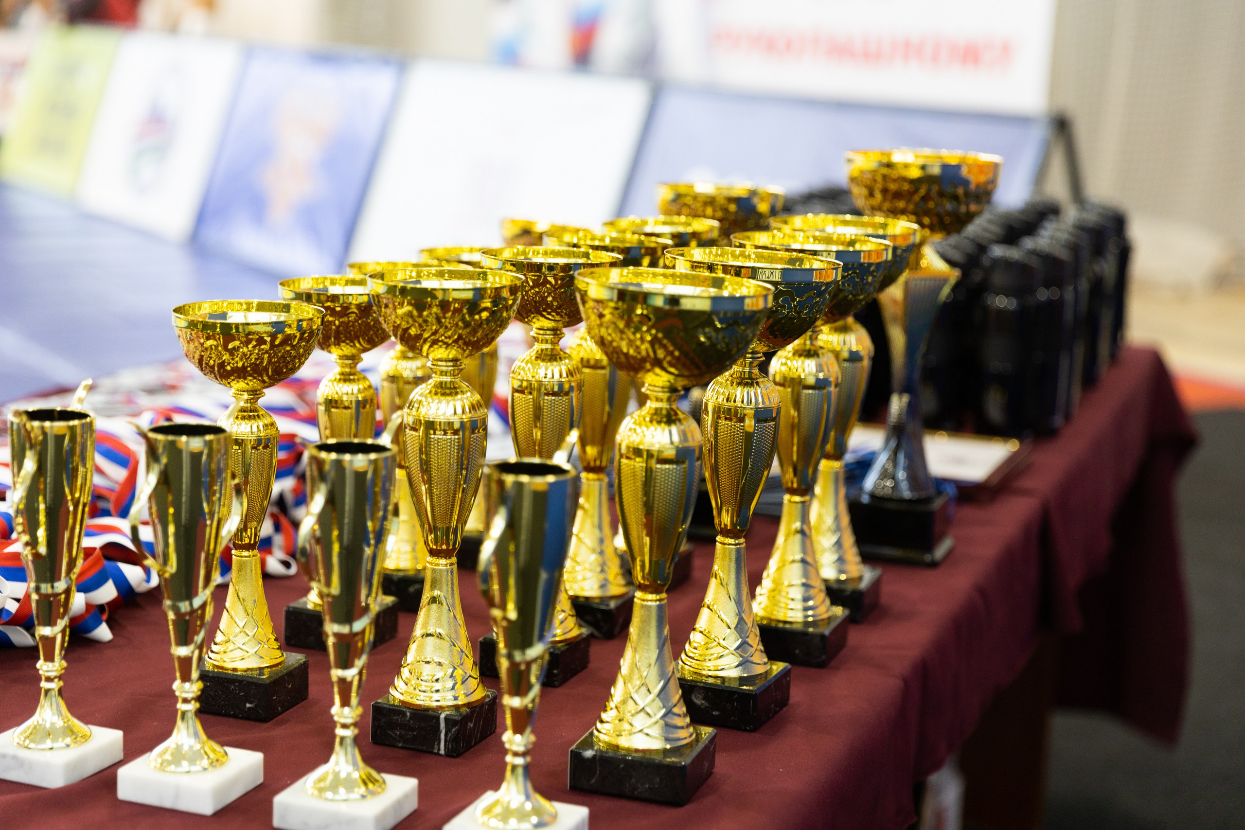 Чемпионат и Первенство НСО по рукопашному бою. Репортажный фотограф в Новосибирске Алена Помазунова