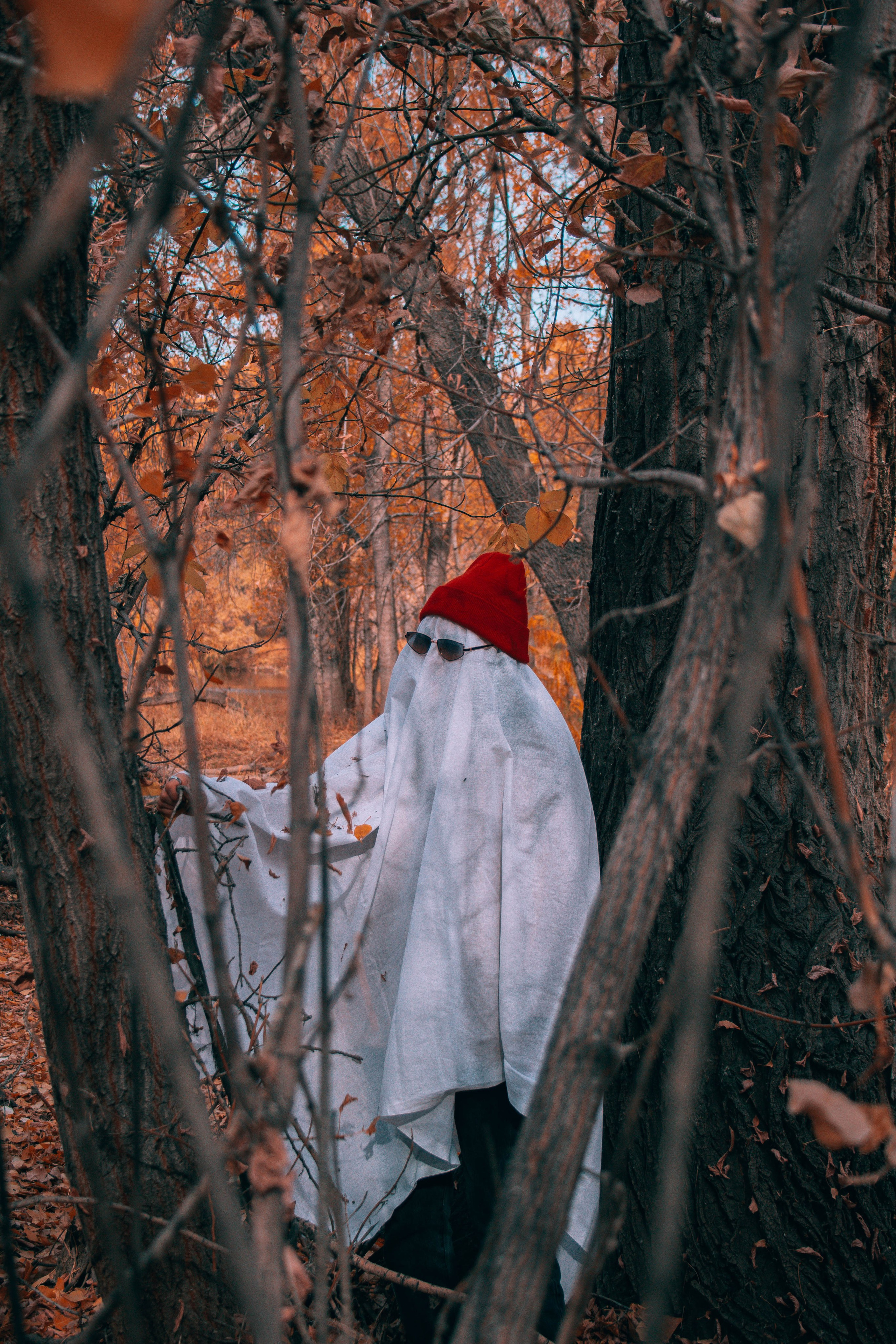 Halloween. Фотограф Новосибирск