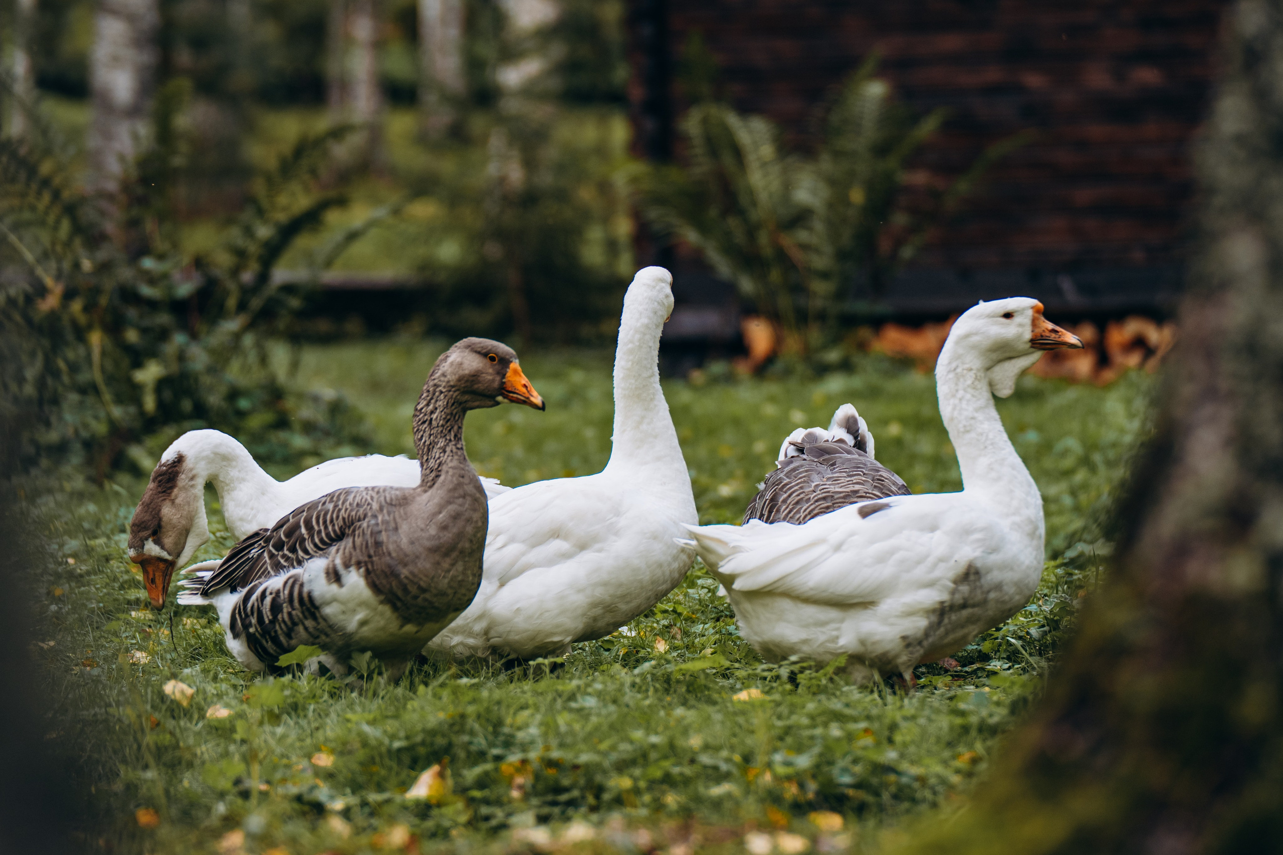 СЕВЕР. Event фотограф Степанова Александра